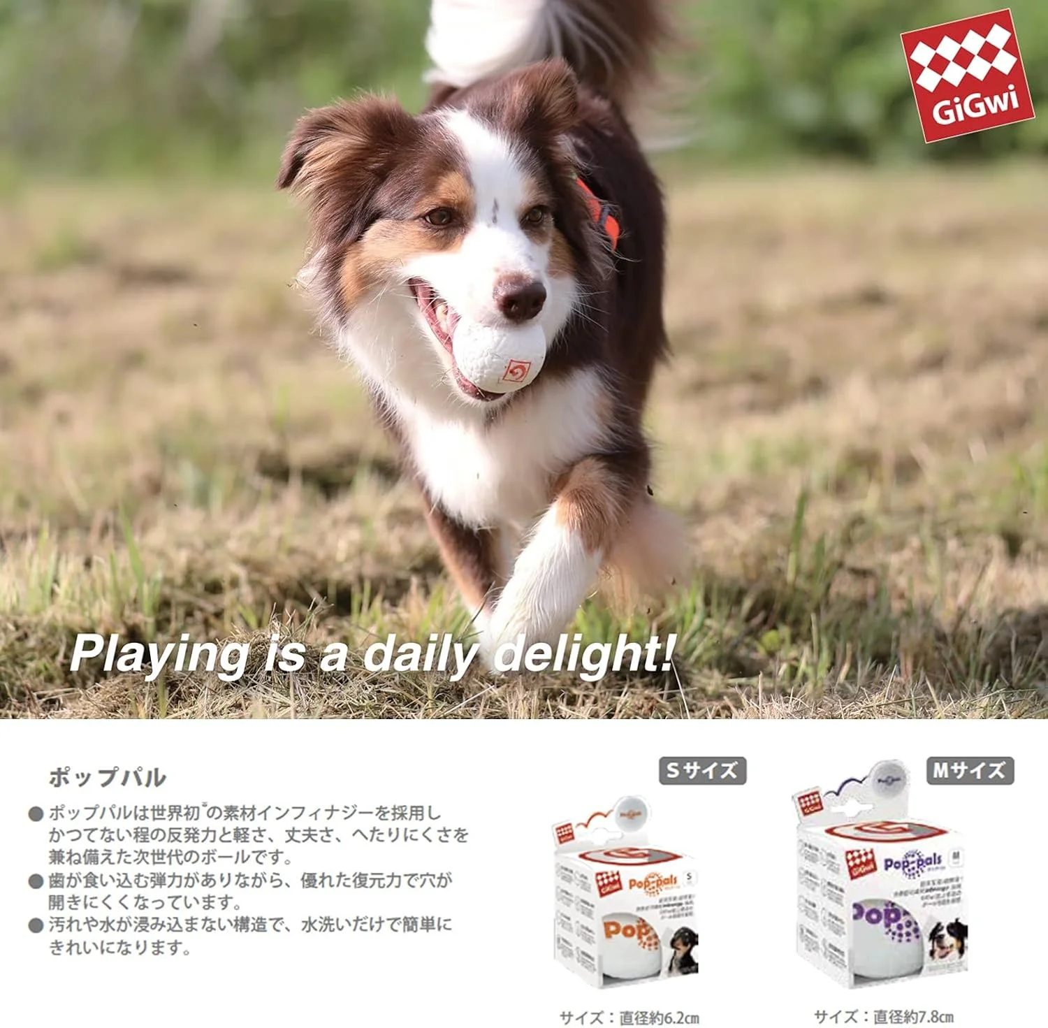 توپ شناور گیگوی سری Pop-Pals سایز S/M توپ شناور گیگوی سری Pop-Pals سایز S/M