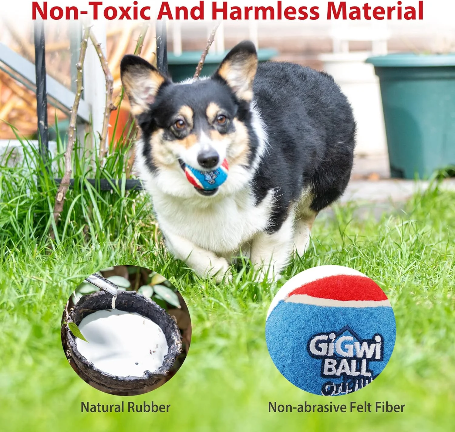 مجموعه توپ سگ اصلی GiGwi، چند رنگ، متوسط، 6118، 3 عدد مجموعه توپ سگ اصلی GiGwi، چند رنگ، متوسط، 6118، 3 عدد