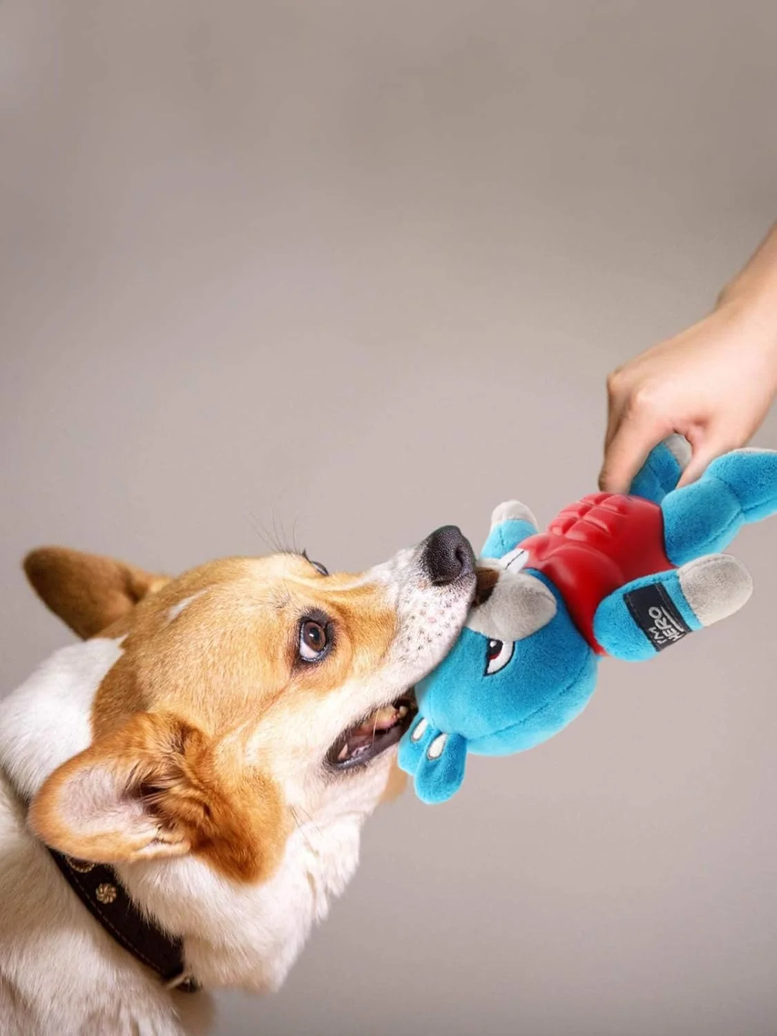 اسباب بازی سوت دار گیگوی سری I'M Hero، آبی/قرمز اسباب بازی سوت دار گیگوی سری I'M Hero، آبی/قرمز