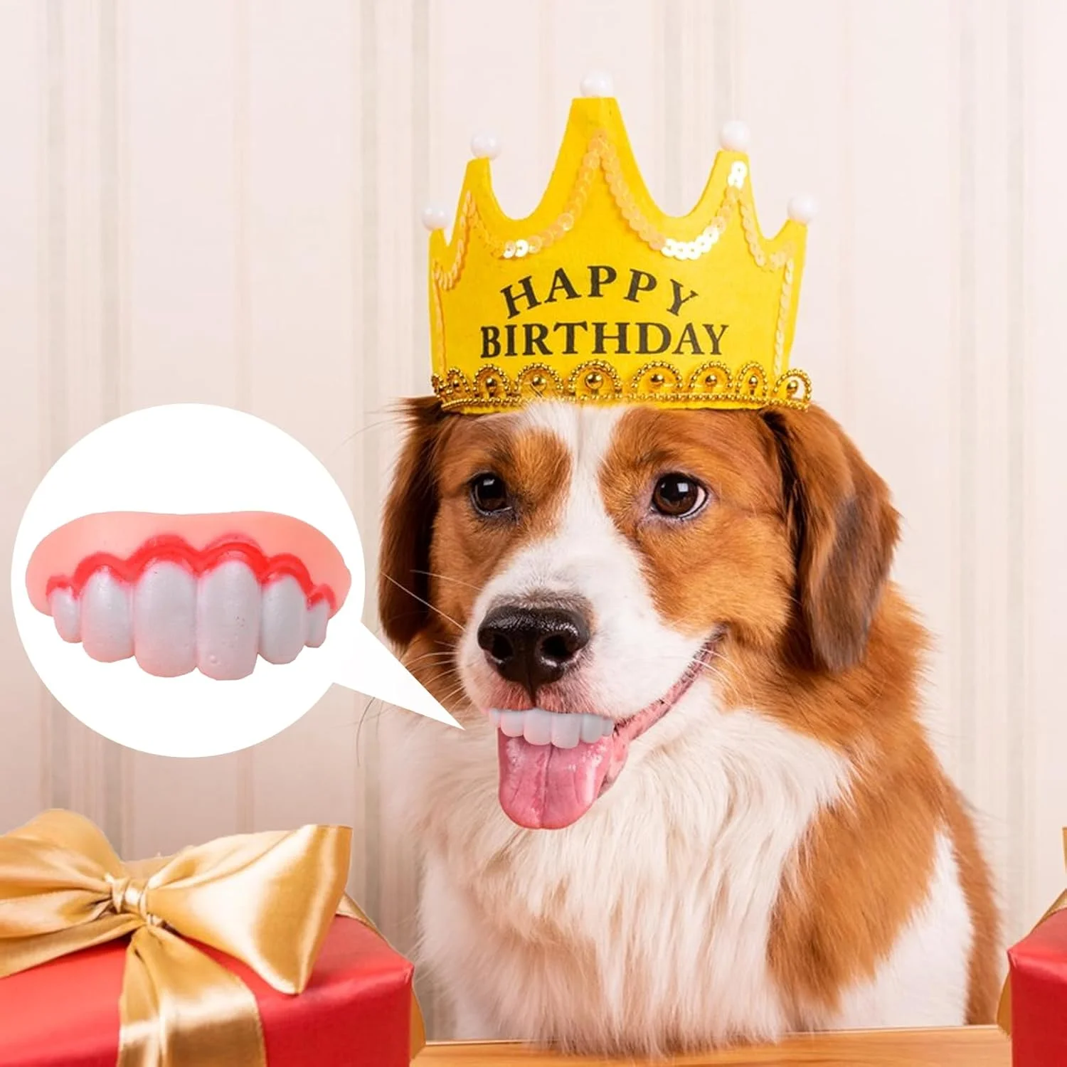 دندان های خنده دار سگ - دندان های مصنوعی خنده دار سیلیکونی - لوازم حیوانات خانگی برای تحریک ذهنی بازی خانوادگی مسافرت در خانه فضای باز داخل خانه بازی روی زمین کریسمس دوستان دندان های خنده دار سگ - دندان های مصنوعی خنده دار سیلیکونی - لوازم حیوانات خانگی برای تحریک ذهنی بازی خانوادگی مسافرت در خانه فضای باز داخل خانه بازی روی زمین کریسمس دوستان