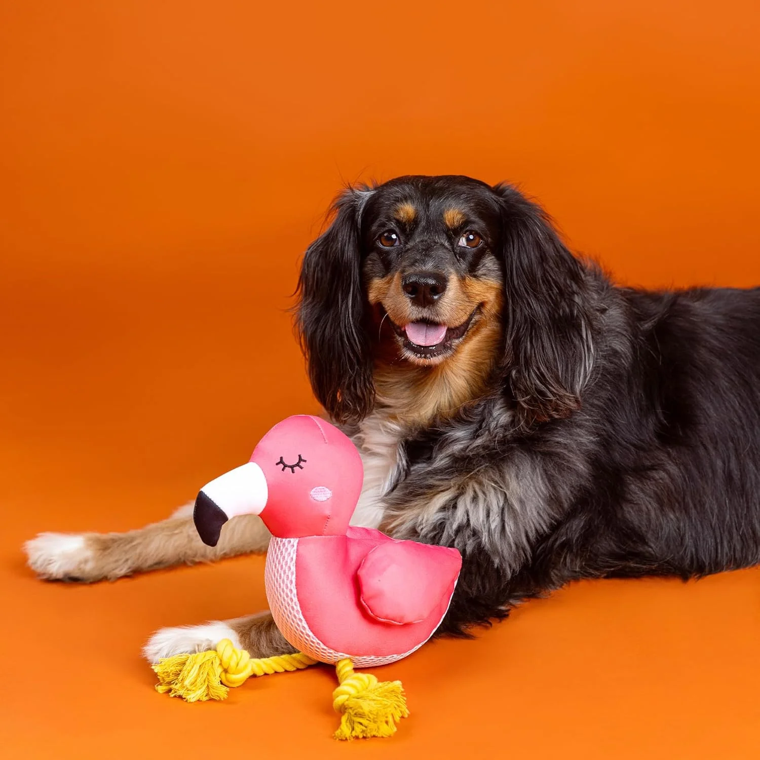 اسباب بازی شناور سگ Fringe Studio با طناب طرح BE FLAMAZING، مجموعه Pet Shop (640028) اسباب بازی شناور سگ Fringe Studio با طناب طرح BE FLAMAZING، مجموعه Pet Shop (640028)