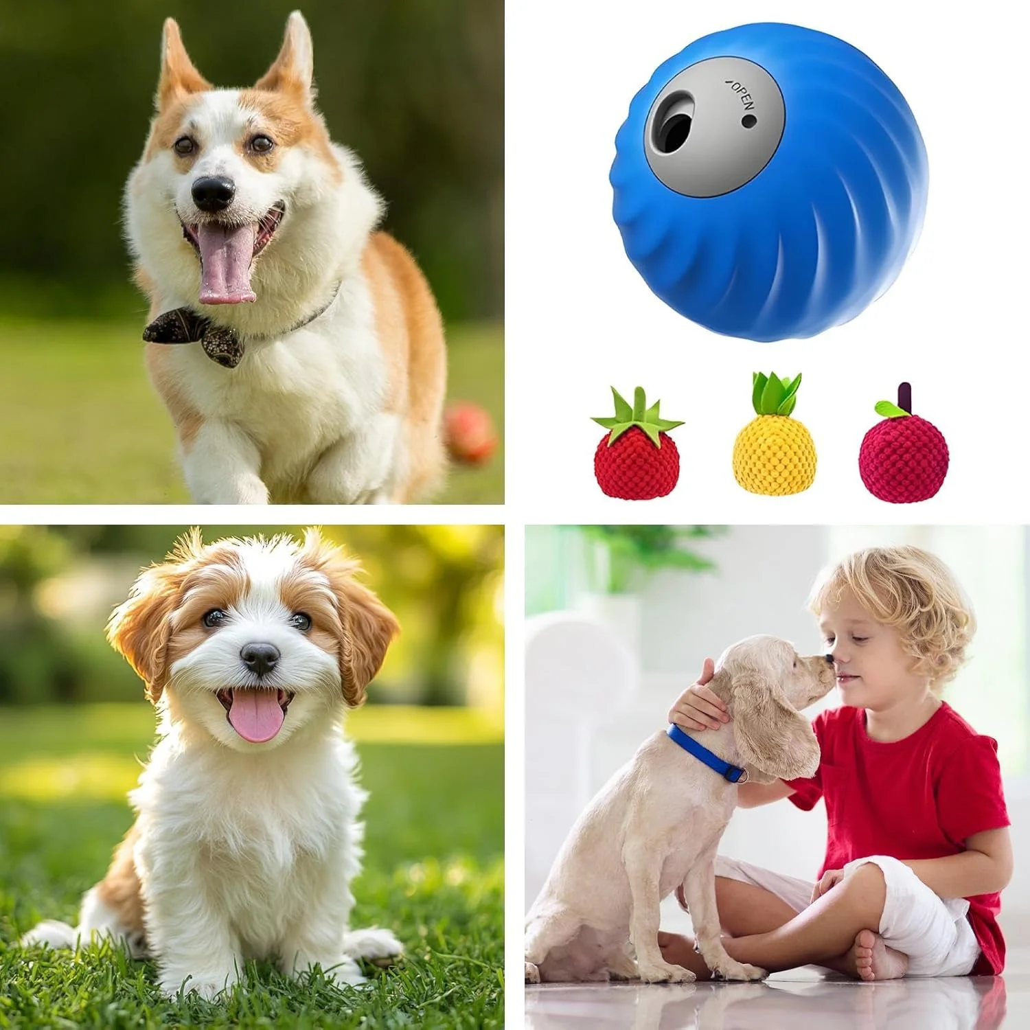 اسباب بازی پخش کننده غذا برای سگ - اسباب بازی جویدنی تعاملی سگ | توپ غنی سازی حیوانات خانگی با روکش پولیشی برای حیوانات کوچک، متوسط و بزرگ در فضای داخلی و خارجی اسباب بازی پخش کننده غذا برای سگ - اسباب بازی جویدنی تعاملی سگ | توپ غنی سازی حیوانات خانگی با روکش پولیشی برای حیوانات کوچک، متوسط و بزرگ در فضای داخلی و خارجی