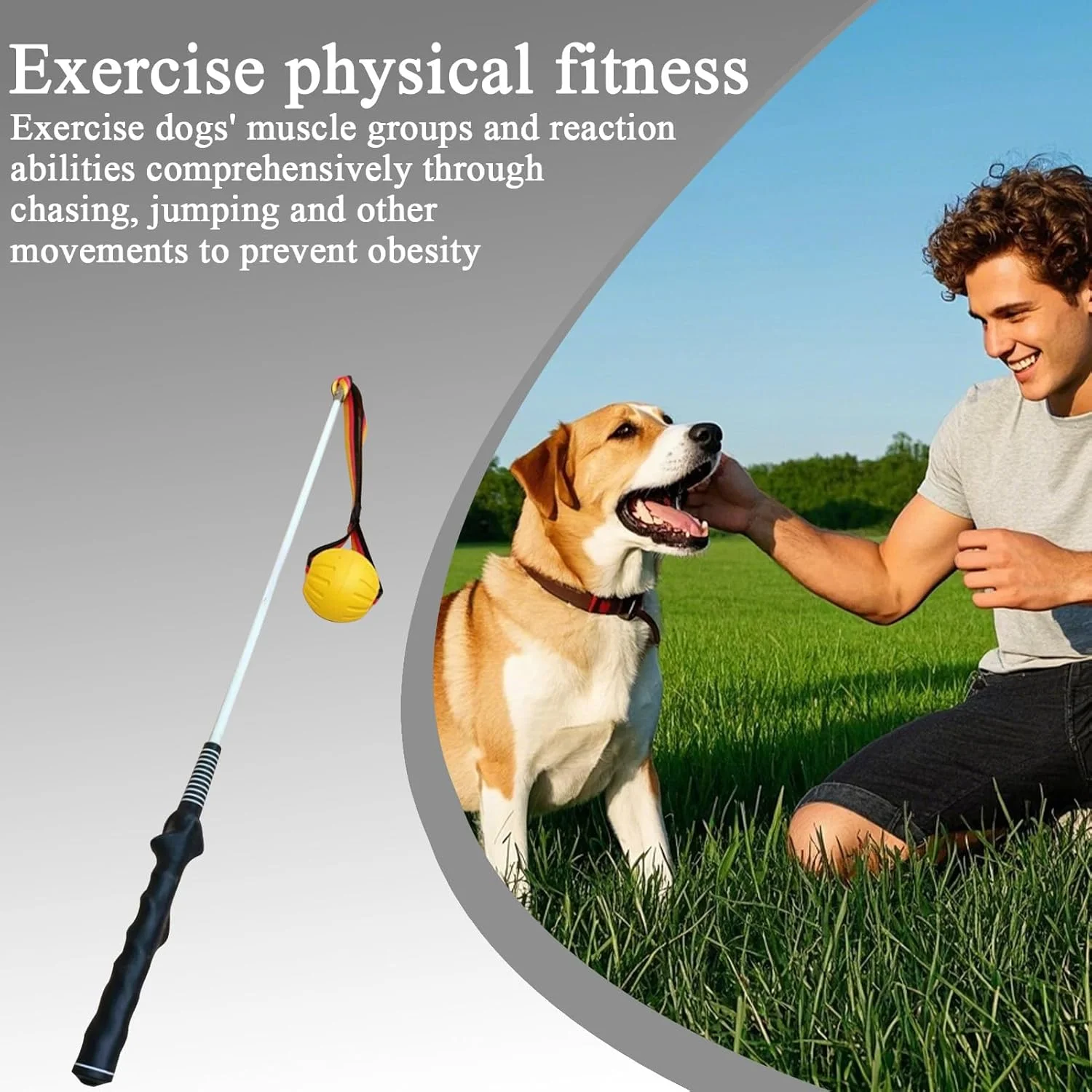 چوب بازی سگ، چوب بازی سگ و توله سگ برای فضای باز - چوب بازی کششی حیوانات خانگی برای استفاده در فضای باز، اسباب بازی آموزشی تعاملی برای تمرین توله سگ