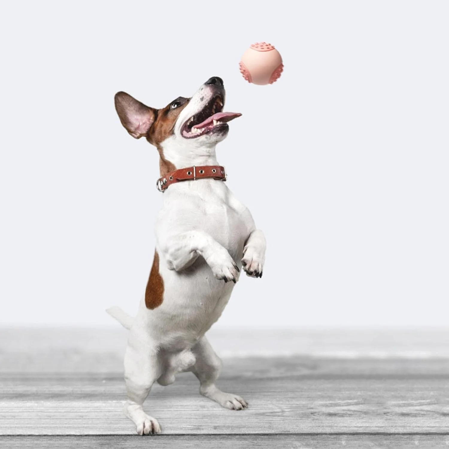 اسباب بازی جویدنی توله سگ، اسباب بازی جویدنی سگ، توپ دندانی شناور توله سگ با شکل منحصر به فرد، اسباب بازی های جویدنی مقاوم در برابر گاز گرفتن برای سگ ها و توله سگ ها