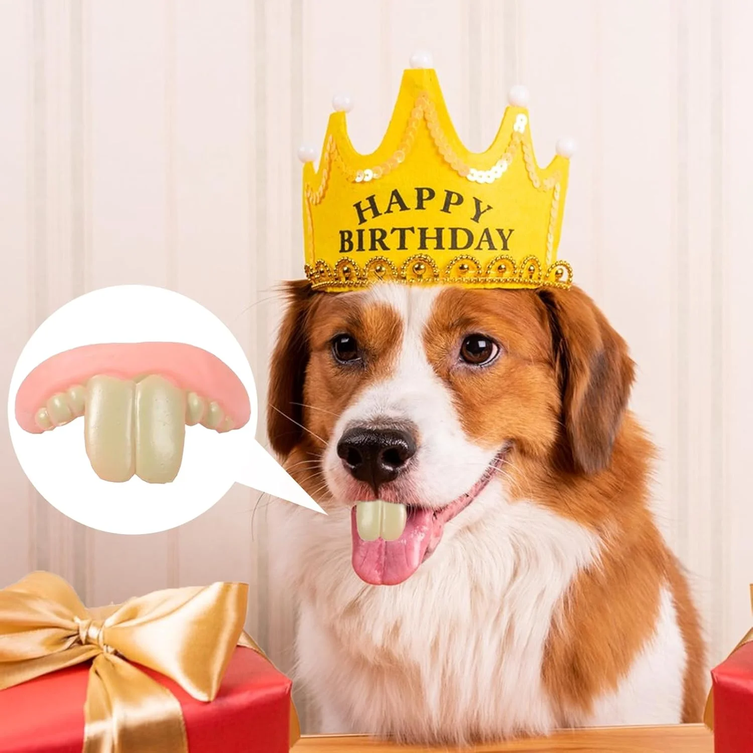 دندان های مصنوعی سگ، دندان های مصنوعی خنده دار سیلیکونی - اسباب بازی تعاملی حیوانات خانگی برای تحریک ذهنی، ورزش، بازی در داخل و خارج از خانه، بازی روی زمین، مسافرت، دوستان، خانواده، کریسمس دندان های مصنوعی سگ، دندان های مصنوعی خنده دار سیلیکونی - اسباب بازی تعاملی حیوانات خانگی برای تحریک ذهنی، ورزش، بازی در داخل و خارج از خانه، بازی روی زمین، مسافرت، دوستان، خانواده، کریسمس