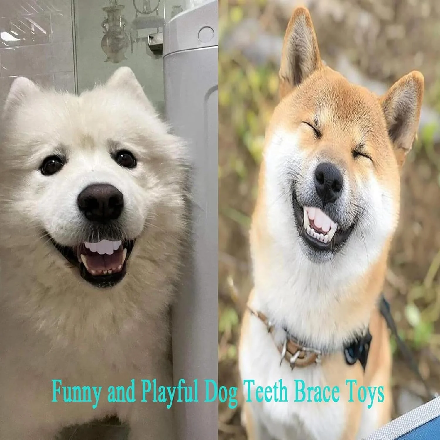 دندان های مصنوعی سگ - دندان های مصنوعی خنده دار سیلیکونی - لوازم حیوانات خانگی برای تحریک ذهنی، بازی خانوادگی، مسافرت در خانه، فضای باز، داخل خانه، بازی روی زمین کریسمس با دوستان