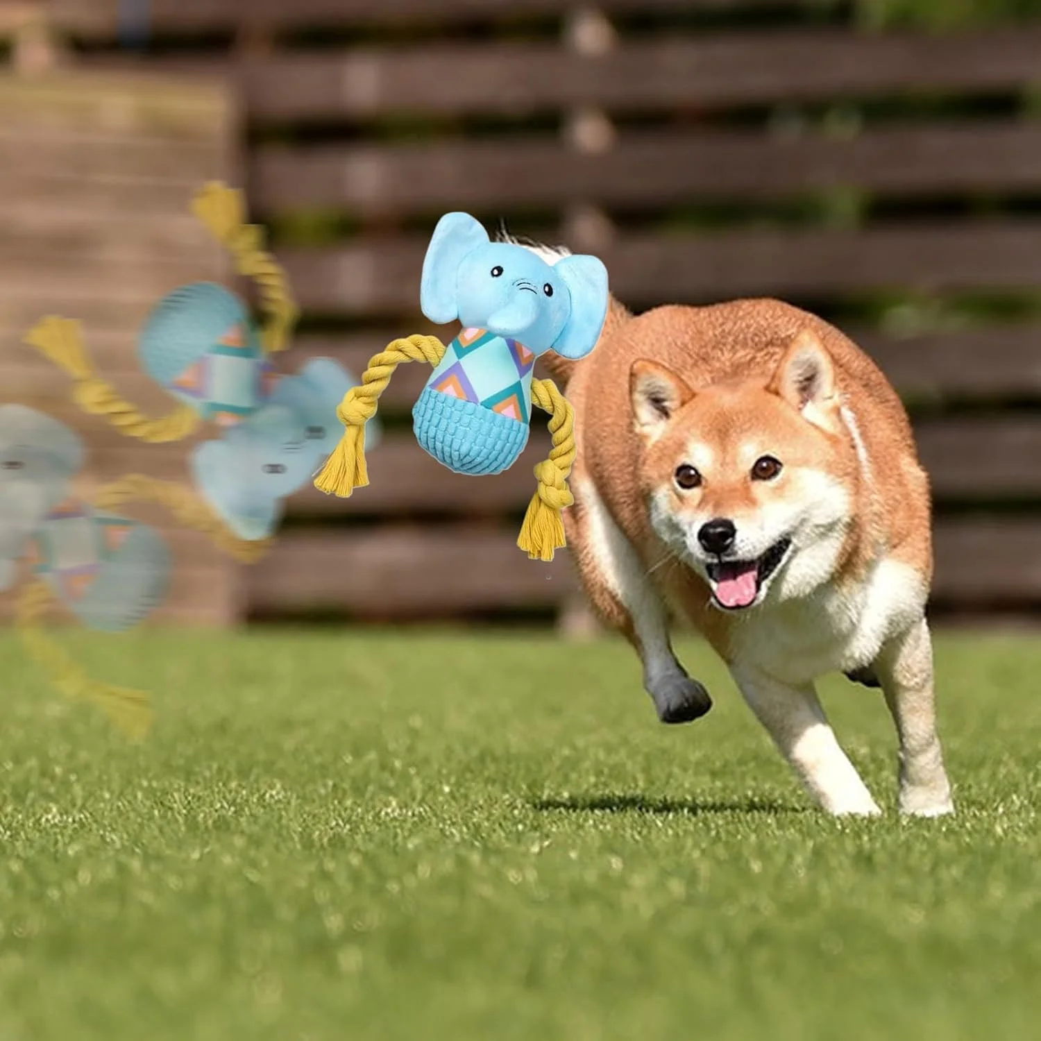 عروسک فیل، اسباب بازی سگ فیل، عروسک جویدنی تعاملی توله سگ، لوازم حیوانات خانگی برای بازی روزانه اتاق نشیمن اتاق خواب مسافرت فضای باز و داخلی برای رفع خستگی عروسک فیل، اسباب بازی سگ فیل، عروسک جویدنی تعاملی توله سگ، لوازم حیوانات خانگی برای بازی روزانه اتاق نشیمن اتاق خواب مسافرت فضای باز و داخلی برای رفع خستگی