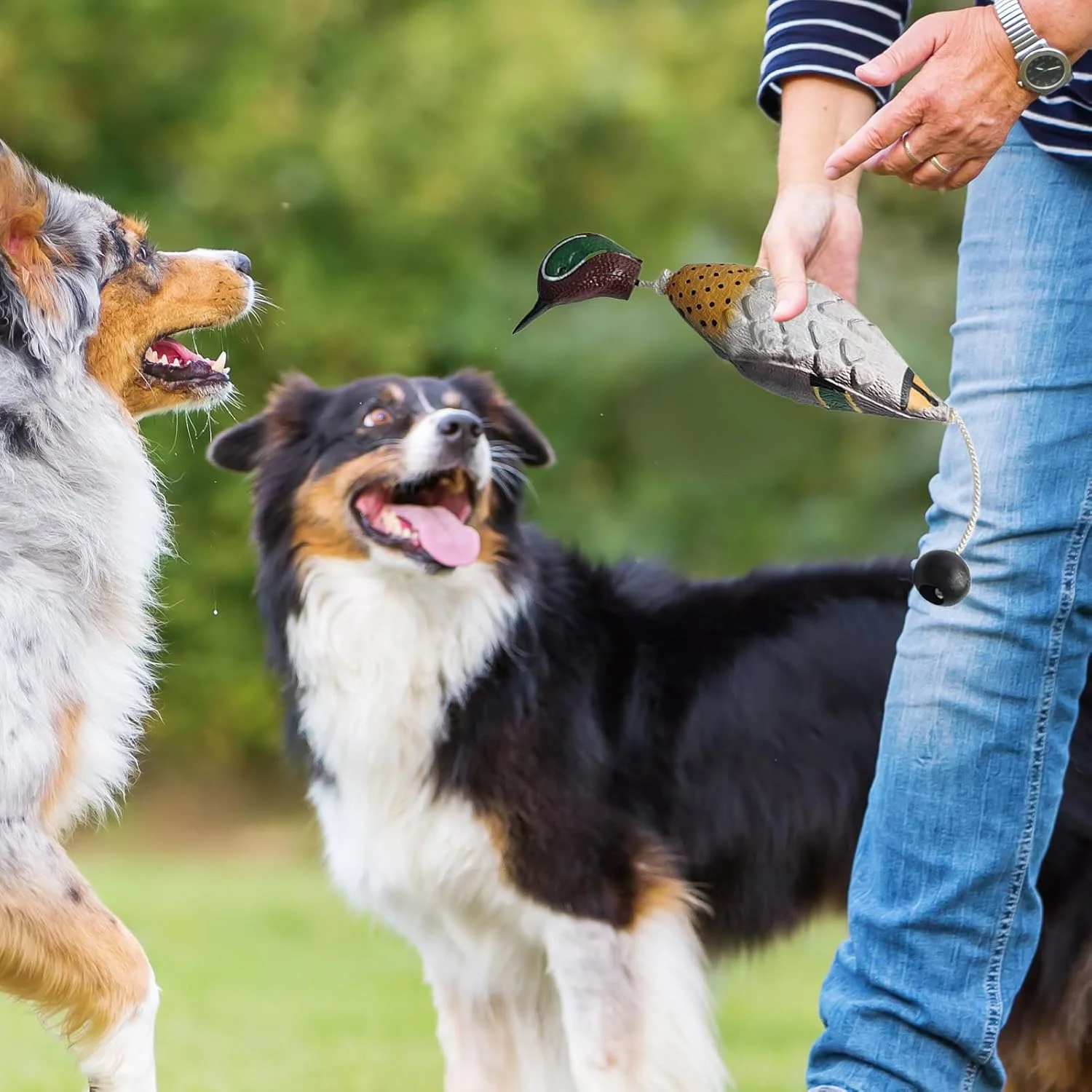 اسباب بازی آموزشی سگ طرح اردک - اسباب بازی های آموزشی سگ شکاری، شناور، معطر، فریبنده، لوازم حیوانات خانگی تعاملی برای همه نژادها، توله سگ