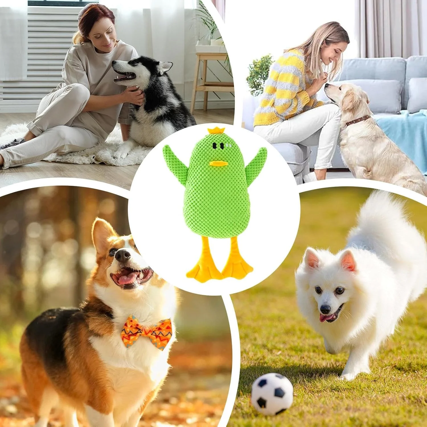 اسباب بازی اردک برای سگ ها | اسباب بازی سگ توله سگ پولیشی جیر جیر کننده - عروسک تعاملی حیوانات پر شده برای بازی در فضای باز و داخل خانه، آموزش، زمان خواب، همراه بازی توله سگ اسباب بازی اردک برای سگ ها | اسباب بازی سگ توله سگ پولیشی جیر جیر کننده - عروسک تعاملی حیوانات پر شده برای بازی در فضای باز و داخل خانه، آموزش، زمان خواب، همراه بازی توله سگ