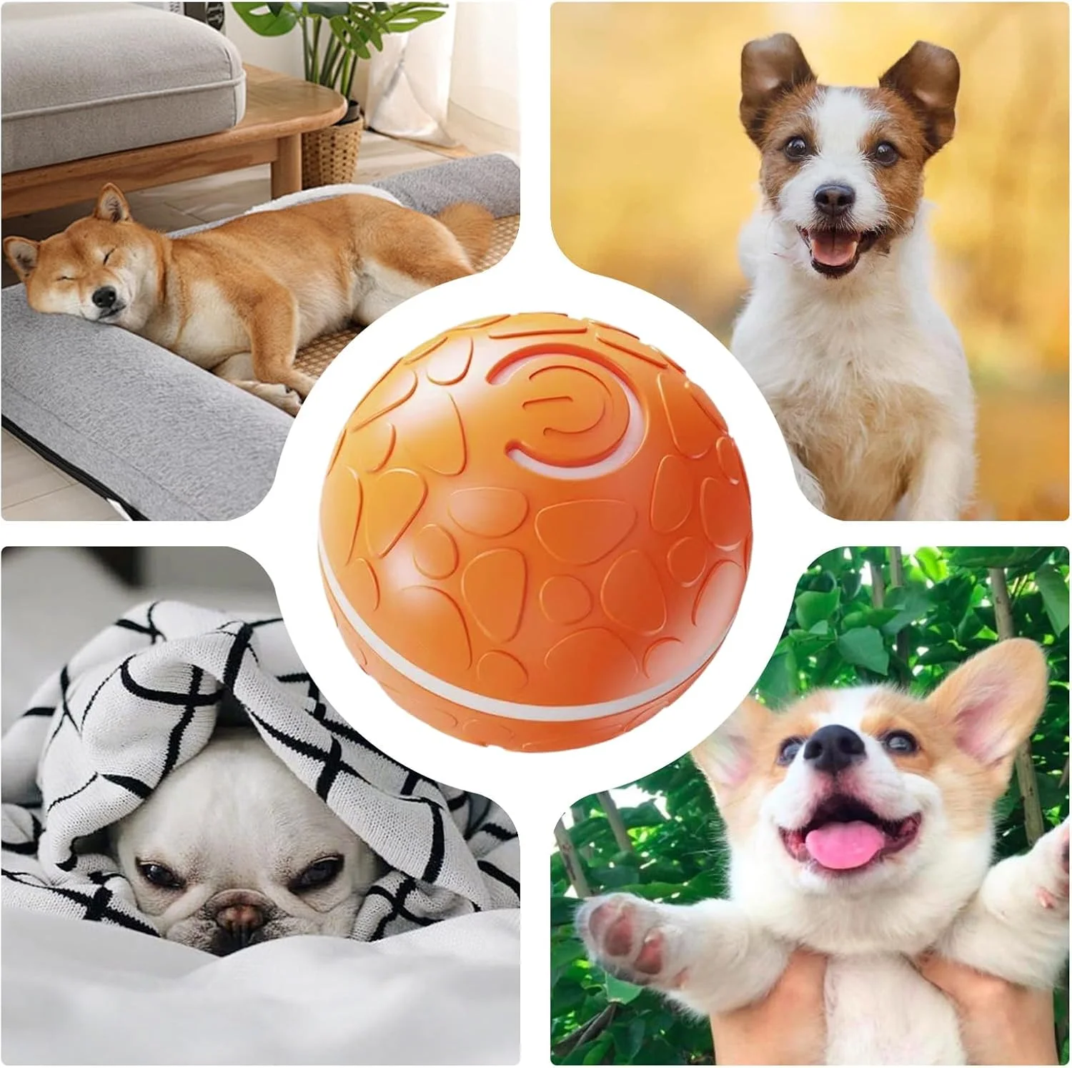 توپ متحرک برای سگ ها | نور LED چرخشی اتوماتیک | توپ جهشی اسباب بازی گربه - برای فضای داخلی و خارجی آپارتمان، اتاق نشیمن، مطالعه، پارک، حیاط، والدین حیوانات خانگی، مربیان، دوستداران حیوانات توپ متحرک برای سگ ها | نور LED چرخشی اتوماتیک | توپ جهشی اسباب بازی گربه - برای فضای داخلی و خارجی آپارتمان، اتاق نشیمن، مطالعه، پارک، حیاط، والدین حیوانات خانگی، مربیان، دوستداران حیوانات