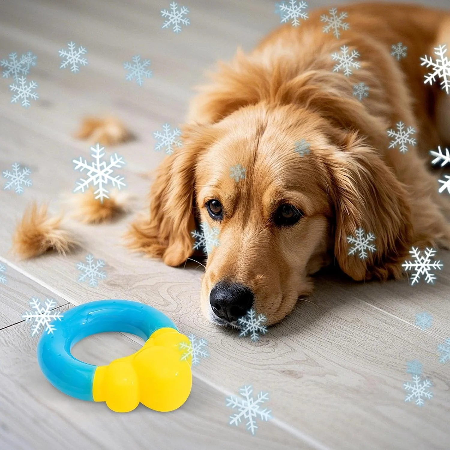 اسباب بازی استخر سگ، اسباب بازی های خنک کننده سگ در فضای باز - لوازم خنک کننده حیوانات خانگی به شکل دونات برای جویدن، آموزش، حیاط خلوت، شنا در فضای باز، ساحل، پارک، هوای گرم و رفع خستگی اسباب بازی استخر سگ، اسباب بازی های خنک کننده سگ در فضای باز - لوازم خنک کننده حیوانات خانگی به شکل دونات برای جویدن، آموزش، حیاط خلوت، شنا در فضای باز، ساحل، پارک، هوای گرم و رفع خستگی