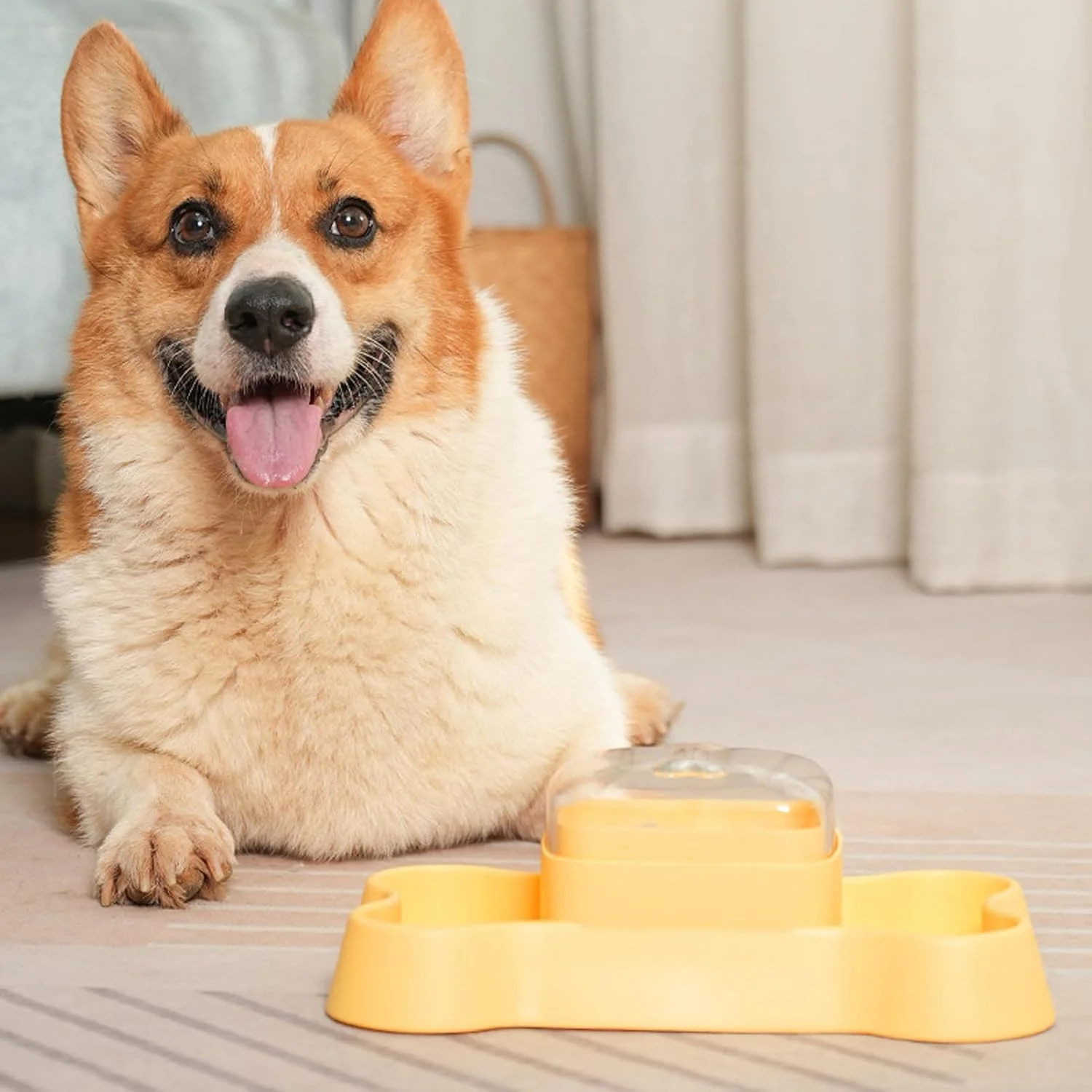 اسباب بازی پخش کننده تشویقی گربه، پازل غذای حیوانات خانگی، تغذیه کننده آهسته - پخش کننده تعاملی تغذیه آهسته برای ورزش، کاهش استرس، شکار در فضای باز و سرگرمی در خانه