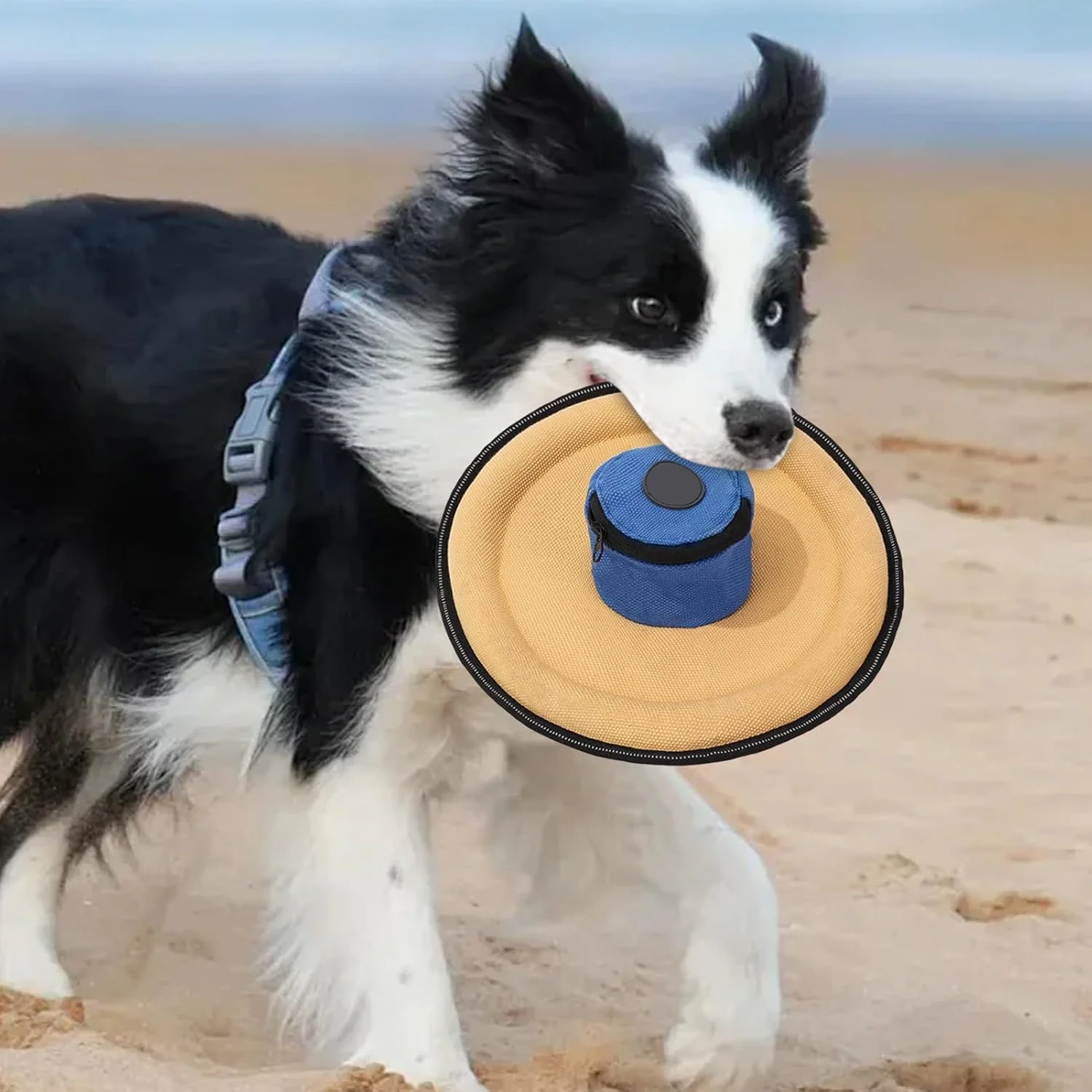 دیسک پرنده نرم برای سگ ها - فلایر بازتابنده با کیف تشویقی - اسباب بازی پرتابی بوم برای سگ - برای همه نژادها کوچک متوسط پارک ساحل حیاط کمپینگ پیاده روی ورزش آخر هفته شب