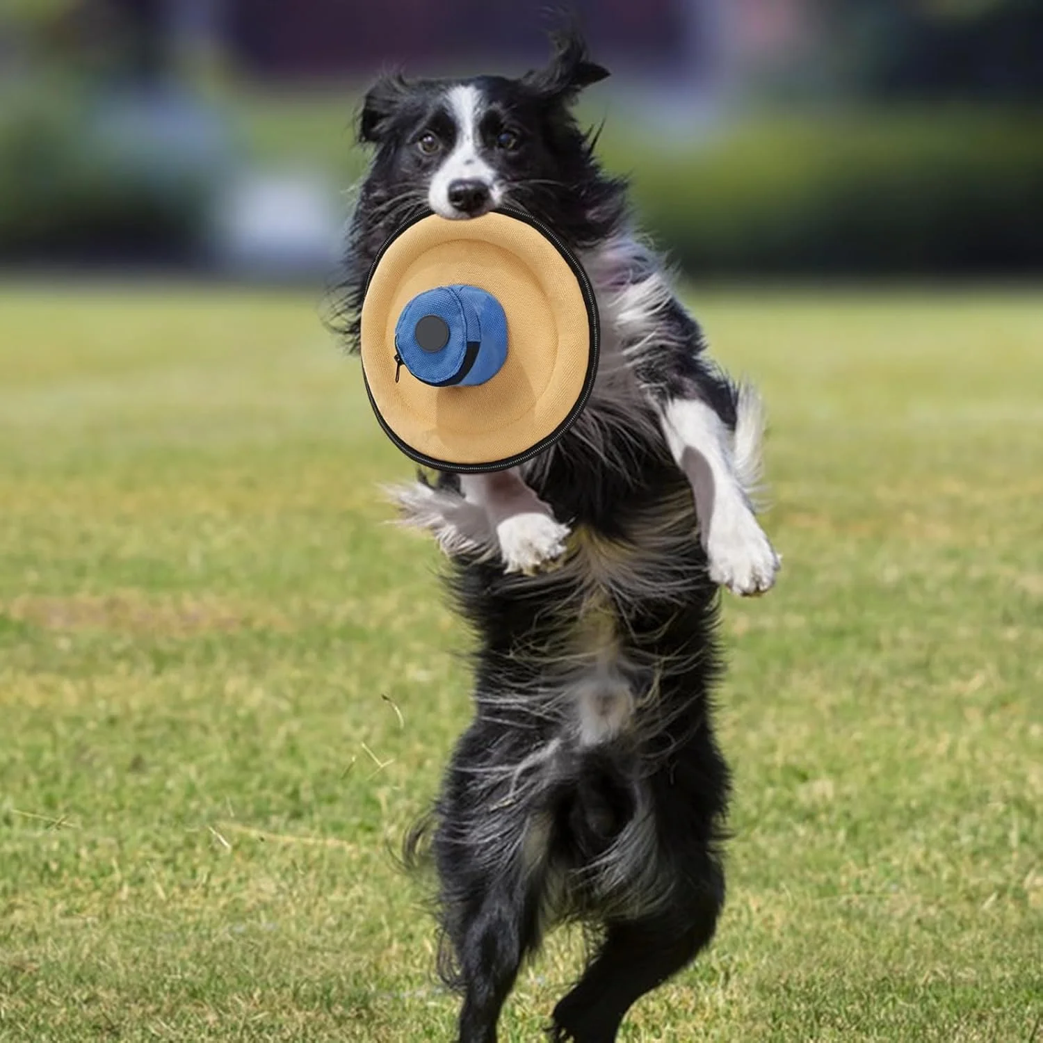 دیسک پرنده برای سگ ها - فلاینر تعاملی از جنس بوم نرم - اسباب بازی پرتابی دیسک پرنده بوم برای حیوانات خانگی | برای تمامی نژادها کوچک متوسط پارک ساحل حیاط کمپینگ پیاده روی ورزش آخر هفته شب