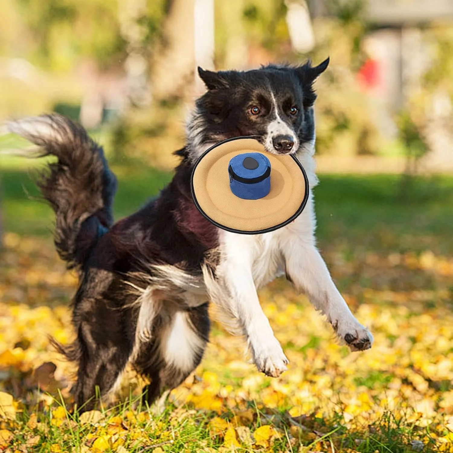 دیسک پرنده برای سگ ها - فلاینر تعاملی از جنس بوم نرم - اسباب بازی پرتابی دیسک پرنده بوم برای حیوانات خانگی | برای تمامی نژادها کوچک متوسط پارک ساحل حیاط کمپینگ پیاده روی ورزش آخر هفته شب