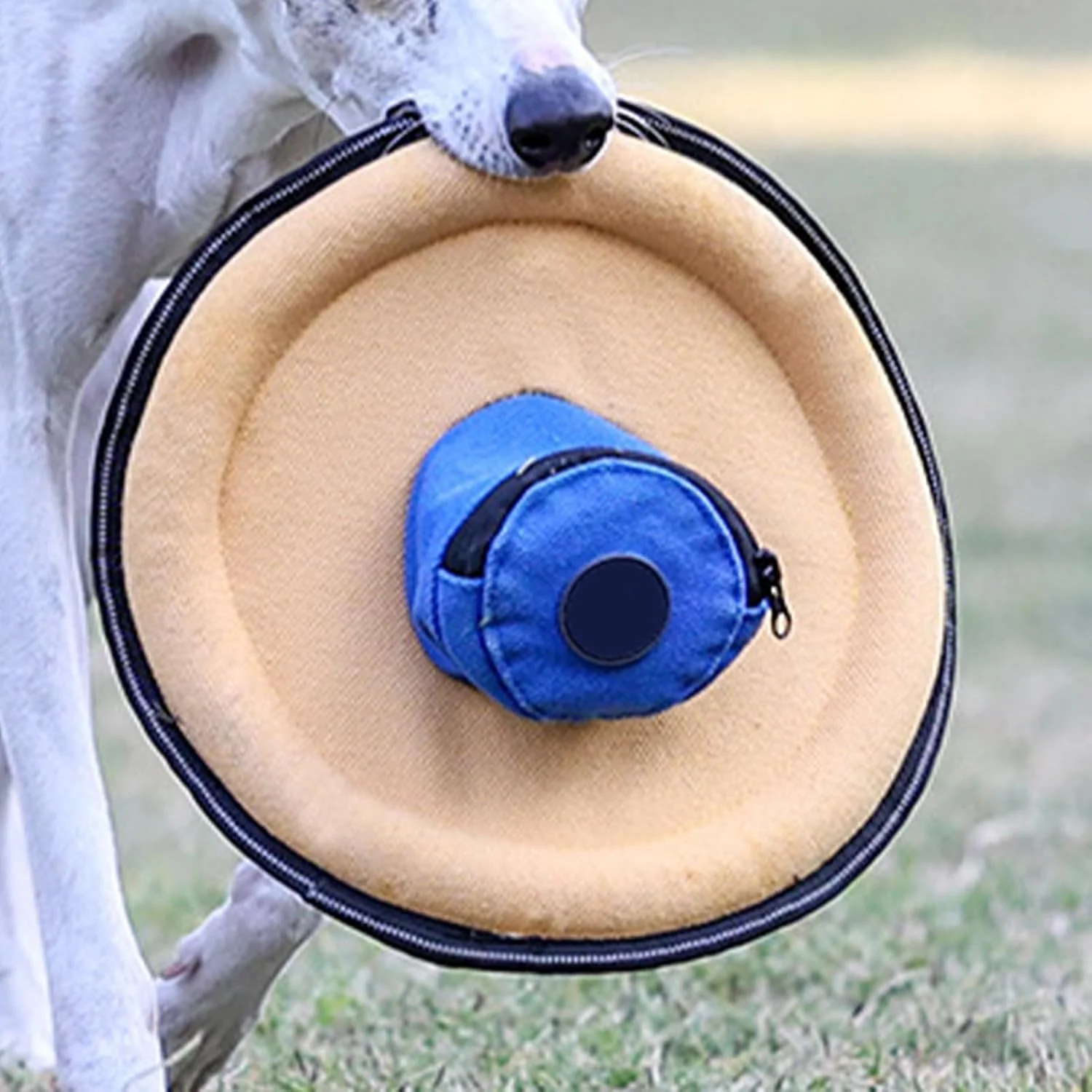 دیسک پرنده سگ، لوازم حیوانات خانگی نرم بازتابنده، اسباب بازی پرنده بوم نقاشی برای سگ | برای همه نژادها کوچک متوسط پارک ساحل حیاط خلوت کمپینگ پیاده روی ورزش آخر هفته شب