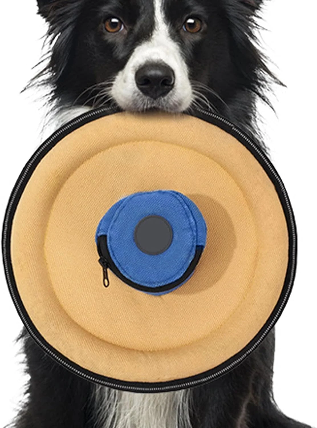 دیسک پرنده سگ، فلایر بوم با کیف تشویقی - اسباب بازی پرتابی بوم برای سگ | مناسب برای تمامی نژادها کوچک متوسط پارک ساحل حیاط کمپینگ پیاده روی ورزش شب آخر هفته