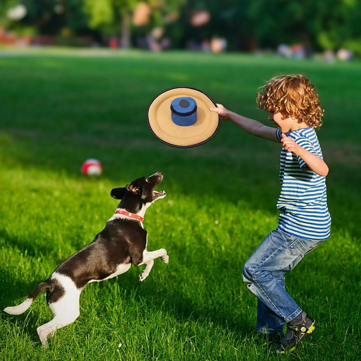 دیسک پرنده سگ، فلایر بوم با کیف تشویقی - اسباب بازی پرتابی بوم برای سگ | مناسب برای تمامی نژادها کوچک متوسط پارک ساحل حیاط کمپینگ پیاده روی ورزش شب آخر هفته دیسک پرنده سگ، فلایر بوم با کیف تشویقی - اسباب بازی پرتابی بوم برای سگ | مناسب برای تمامی نژادها کوچک متوسط پارک ساحل حیاط کمپینگ پیاده روی ورزش شب آخر هفته