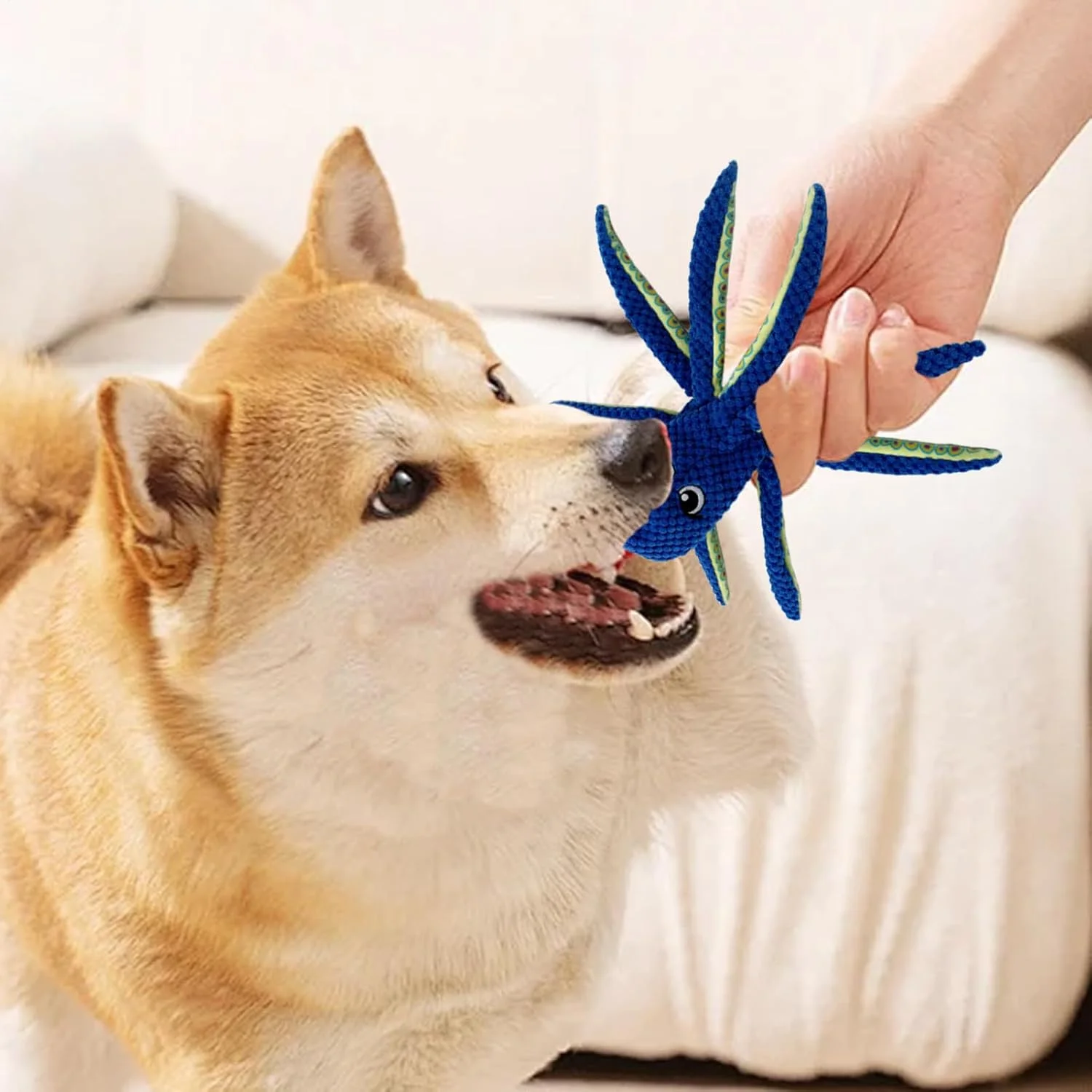 اسباب بازی کوچک سگ با صدای جیر جیر | جویدنی حیوانات خانگی به شکل اختاپوس - عروسک دندان درآوردن توله سگ - برای تمرینات کاهش استرس، طناب کشی، دندان درآوردن و جویدن تهاجمی