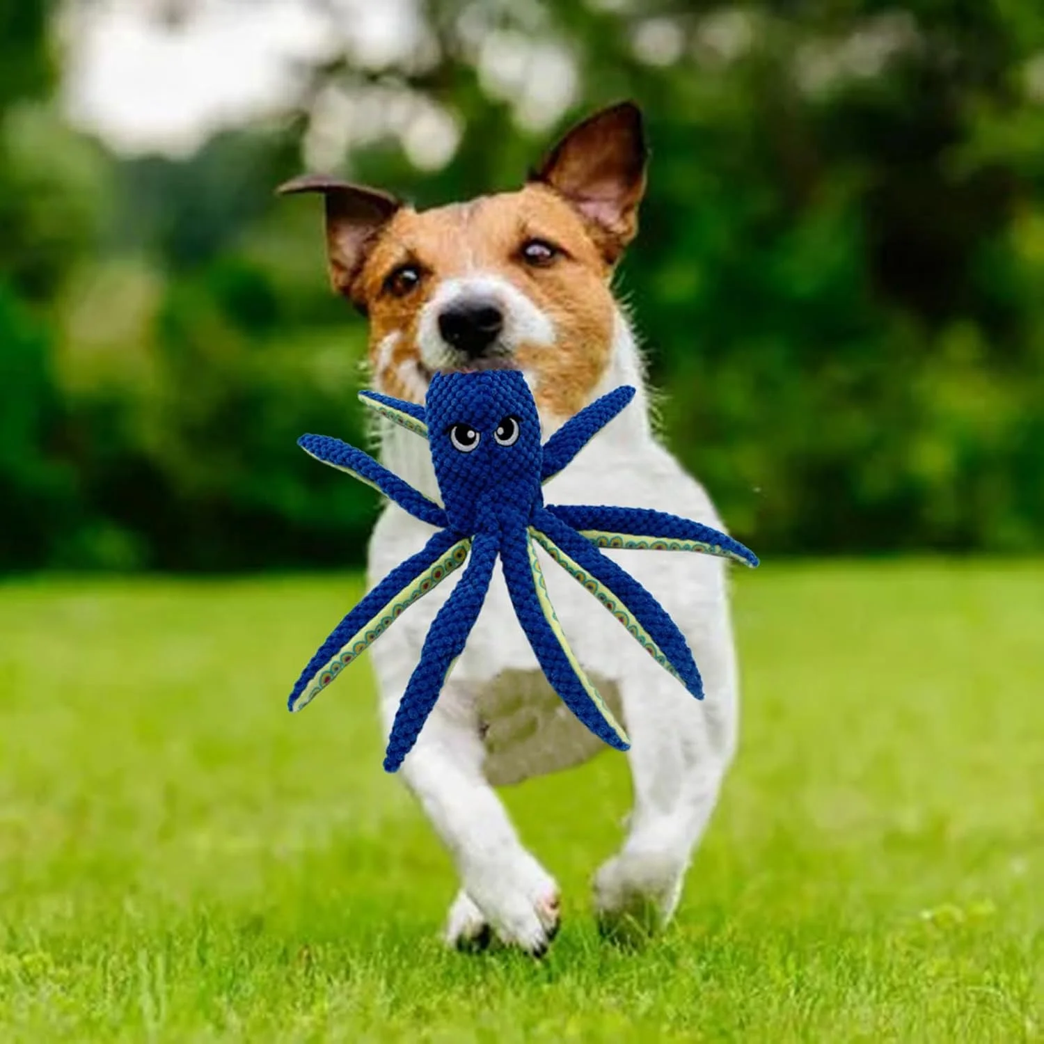 اسباب بازی کوچک سگ با صدای جیر جیر | جویدنی حیوانات خانگی به شکل اختاپوس - عروسک دندان درآوردن توله سگ - برای تمرینات کاهش استرس، طناب کشی، دندان درآوردن و جویدن تهاجمی