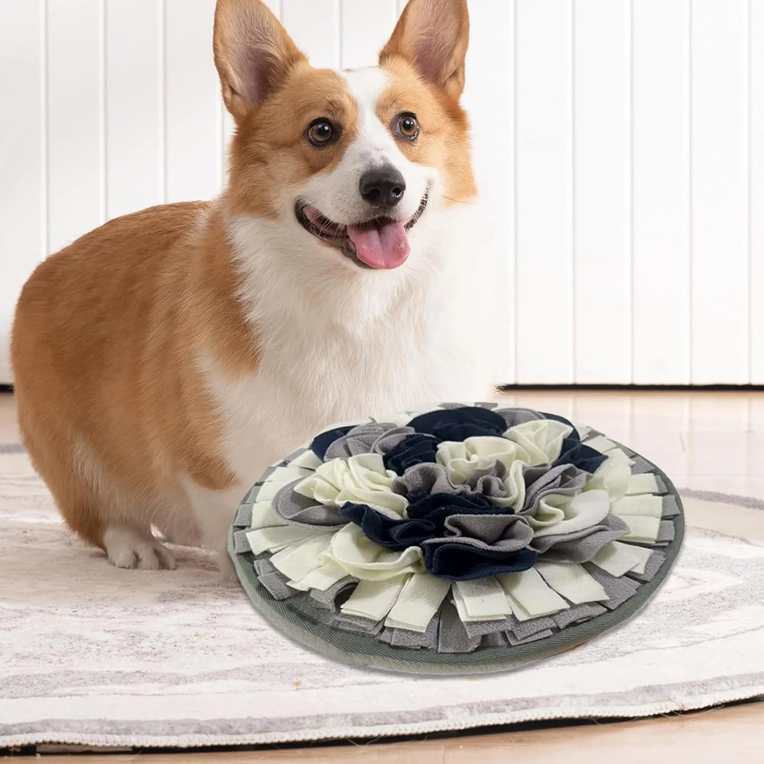 پد بویایی حیوانات خانگی، بازی تغذیه تعاملی سگ، اسباب بازی تغذیه آهسته توله سگ برای لیسیدن حیوانات کوچک و متوسط، مناسب برای بازی در فضای داخلی و خارجی و آموزش جعبه