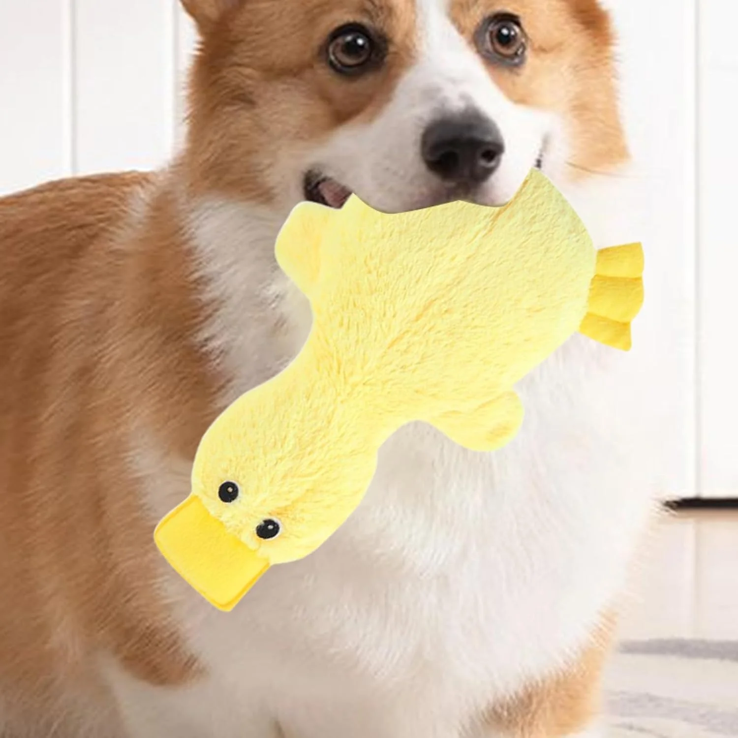 اسباب بازی جویدنی سگ - همراه آرامش بخش و سرگرم کننده - عروسک صدادار اسباب بازی حیوانات خانگی برای جویدن سگ، مناسب اتاق نشیمن، بالکن، حیاط، باغ، کمپینگ