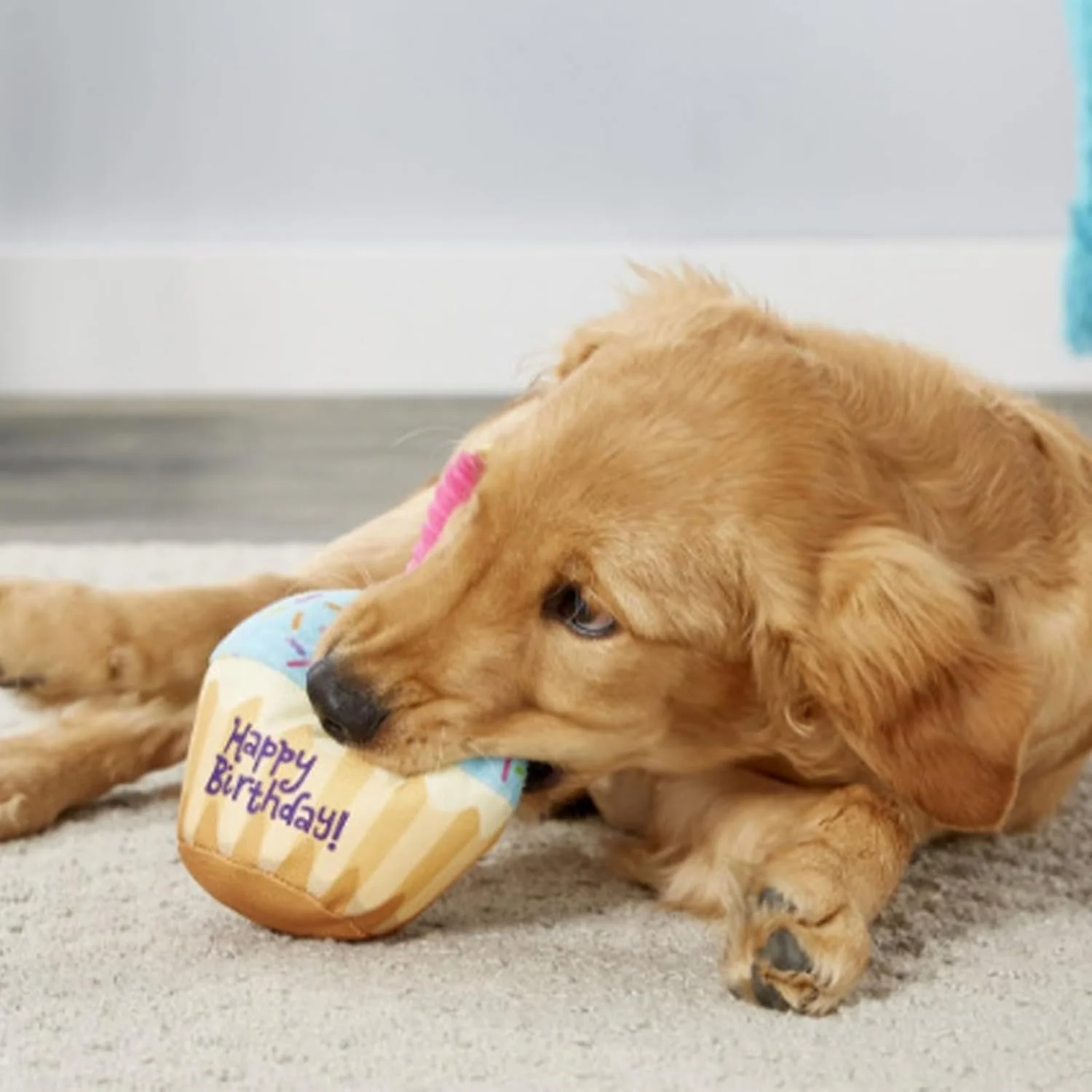 اسباب بازی تولد سگ | کیک پولیشی تزیینی تولد سگ، وسایل عکسبرداری نرم و مقاوم در برابر جویدن برای جشن نژادهای بزرگ، متوسط و کوچک