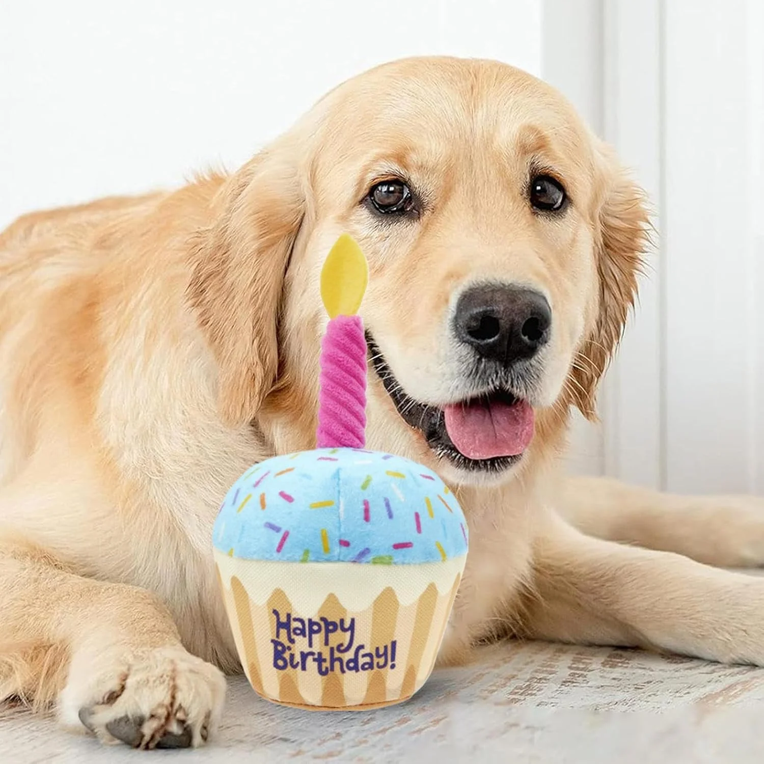 اسباب بازی پولیشی تولد سگ - کیک تولد اسباب بازی توله سگ - دکوراسیون مهمانی زیبا مقاوم در برابر جویدن، وسایل عکس توله سگ برای عکسبرداری مهمانی رویدادهای خانگی داخلی و خارجی