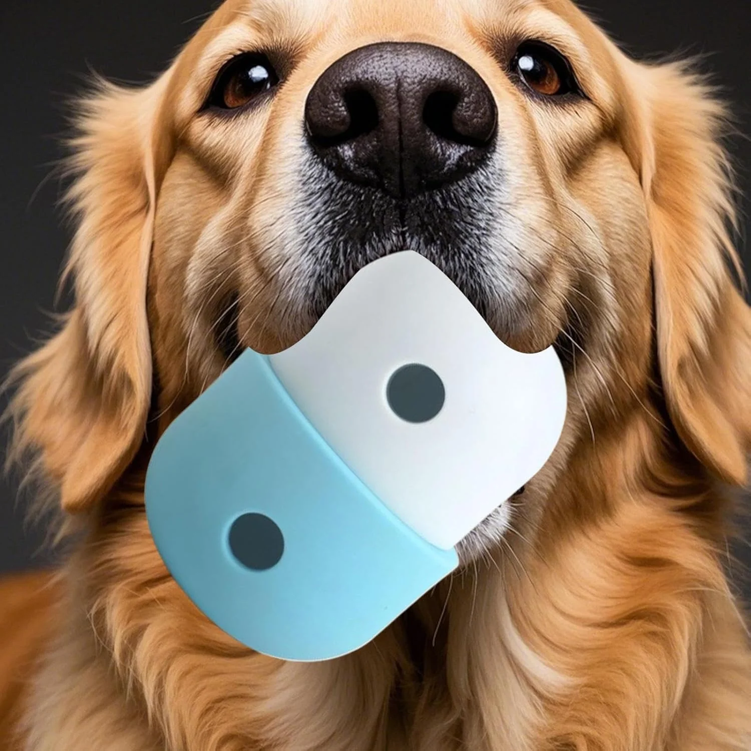 اسباب بازی پخش کننده غذای سگ - توپ پخش کننده غذای جویدنی سگ مقاوم در برابر گاز گرفتن - اسباب بازی پازل تشویقی توله سگ، لوازم حیوانات خانگی برای توله سگ های کوچک، متوسط و بزرگ