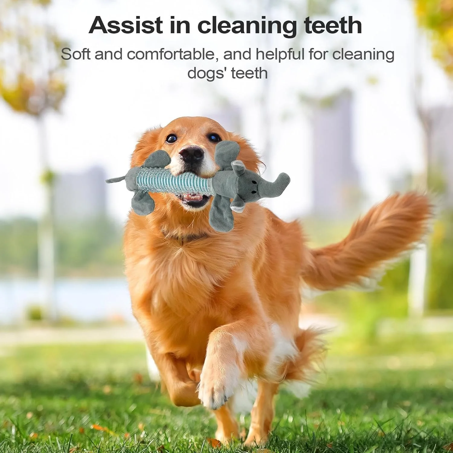 اسباب بازی سگ، اسباب بازی جویدنی سگ به شکل حیوانات - با صدای جیر جیر، پولیشی، مناسب برای حیوانات خانگی کوچک، متوسط و بزرگ، تمیز کننده دندان، مناسب برای تعقیب، بازی در خانه، فضای باز، مسافرت و تقویت ذهن