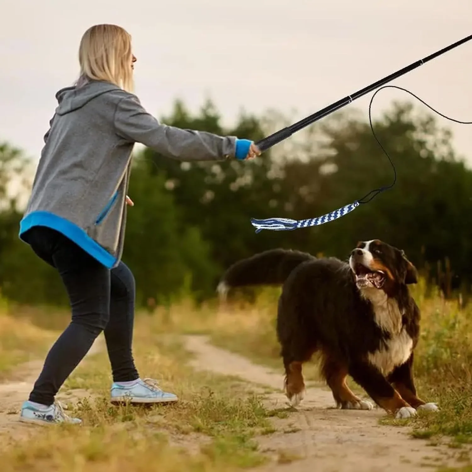چوب بازی سگ، چوب بازی سگ با اسباب بازی جویدنی - بازی غنی سازی توله سگ جمع شونده برای سرگرمی ورزشی در فضای باز، آموزش اطاعت