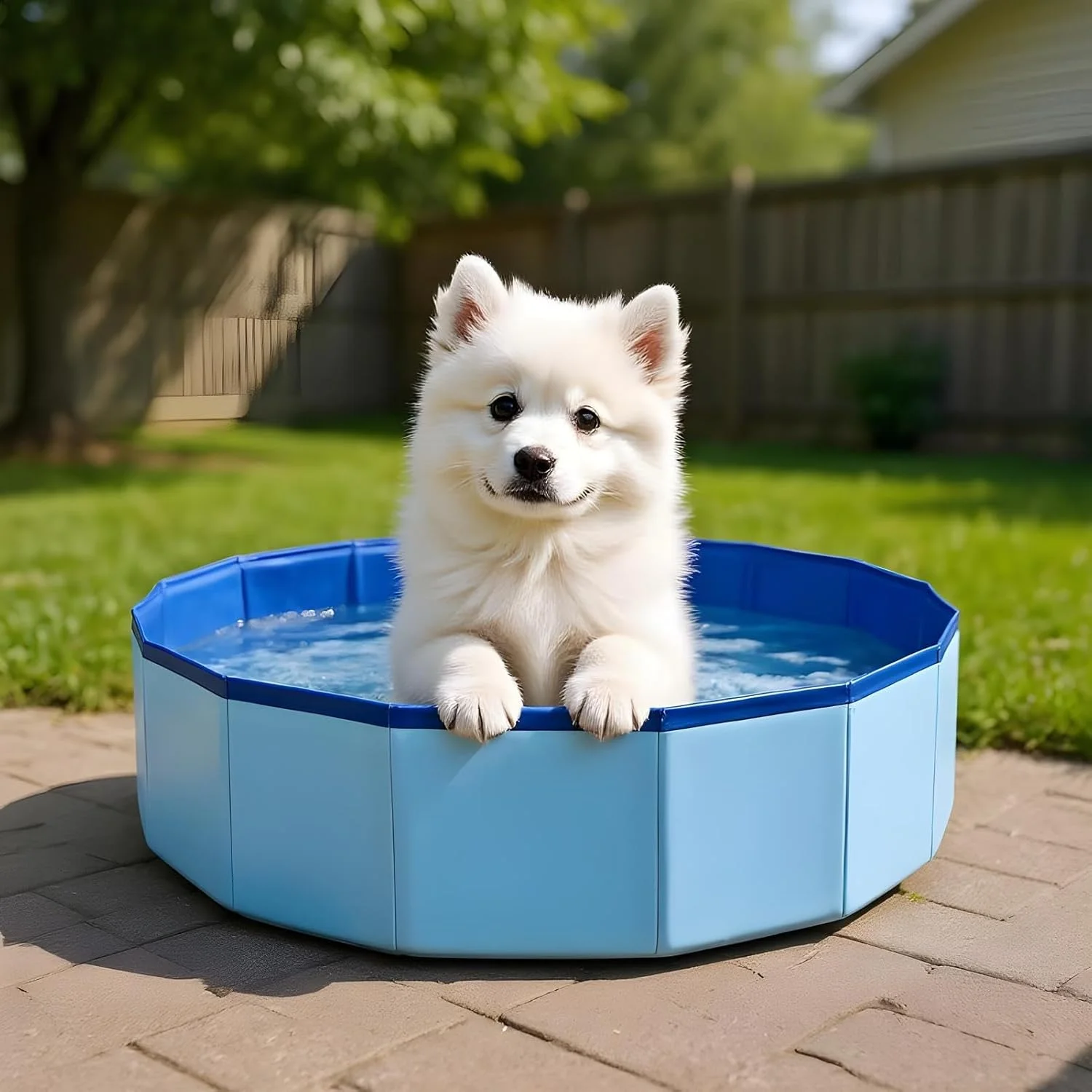 استخر سگ - وان حمام حیوانات خانگی قابل حمل - استخر تاشو گربه و سگ برای کمپینگ، باغ، ساحل، پاسیو، حیاط خلوت، داخل خانه، پیک نیک، بالکن، فضای باز