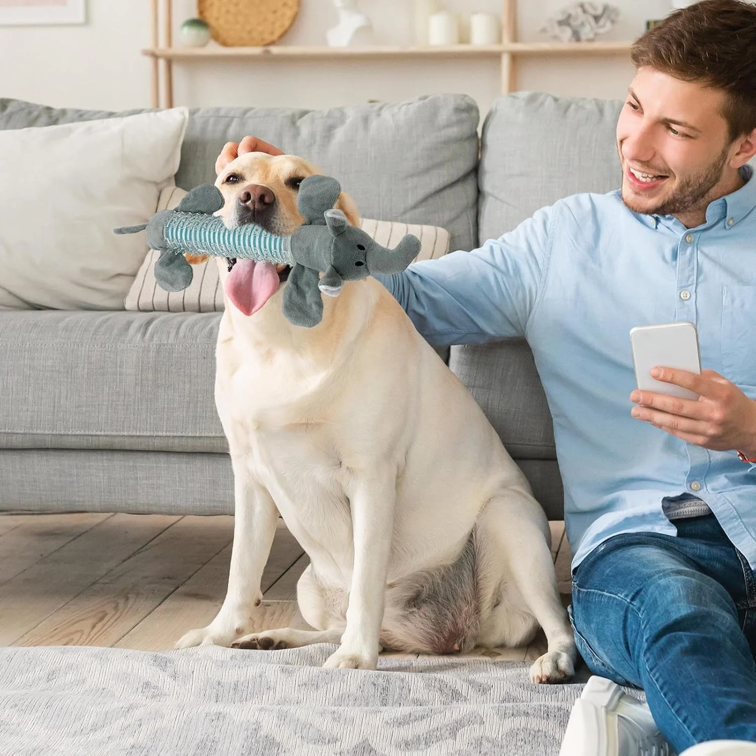 اسباب بازی سگ جیر جیر دار - اسباب بازی های نرم سگ با طرح حیوانات، پولیشی با صدای جیر جیر، مناسب برای تمیز کردن دندان، جویدن، گاز گرفتن، مناسب برای حیوانات خانگی کوچک، متوسط و بزرگ، غنی سازی ذهنی در خانه، بازی در فضای باز و مسافرت