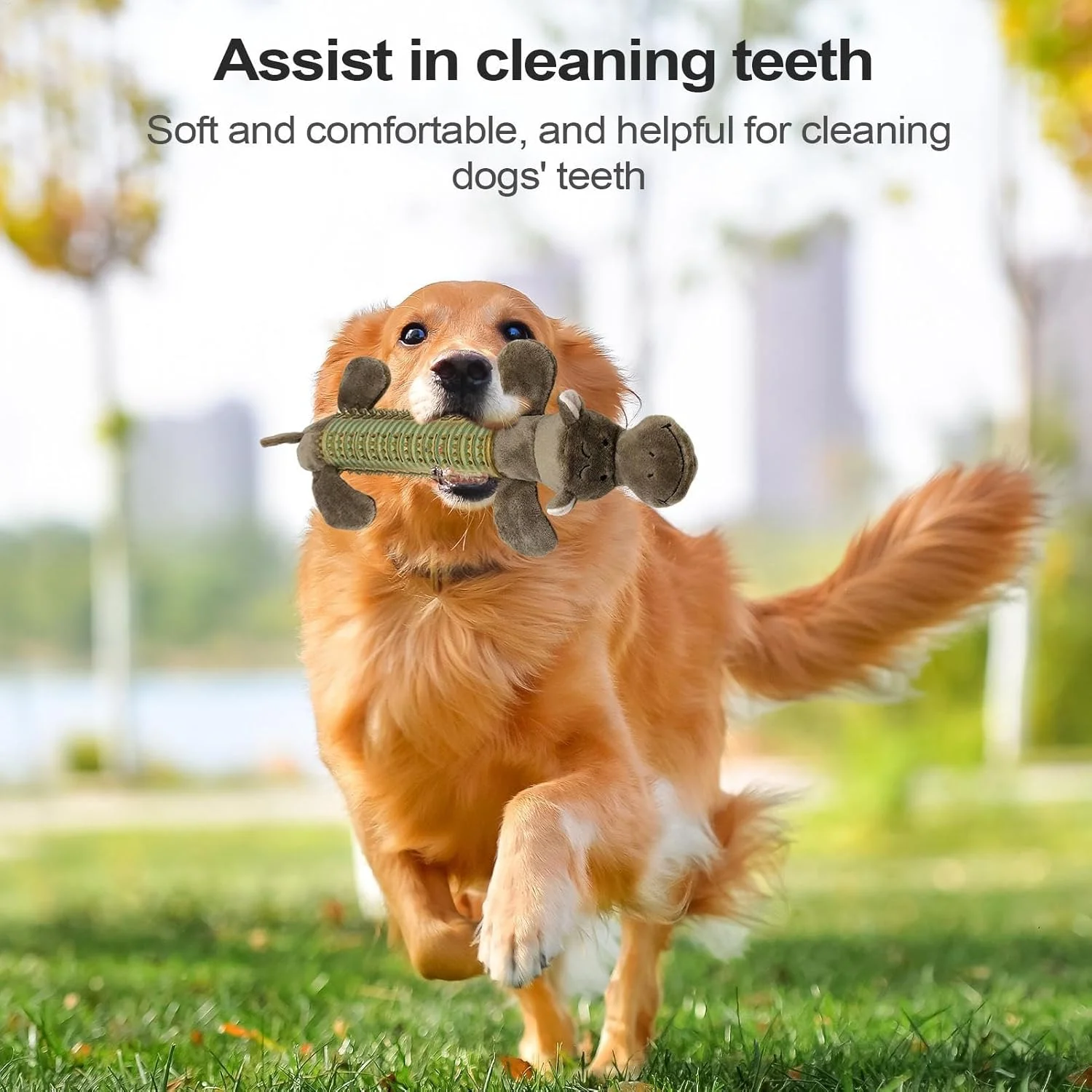 اسباب بازی های صدادار برای سگ ها - اسباب بازی های جویدنی سگ به شکل حیوانات | با صدای جیر جیر، پولیشی برای توله سگ، مناسب سگ های کوچک، متوسط و بزرگ، غنی سازی ذهنی، مناسب سگ های مسن، بازی در فضای داخلی، تعقیب، گاز گرفتن، بازی در فضای باز و مسافرت