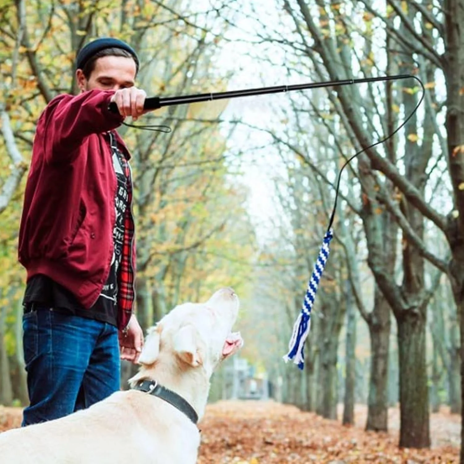 چوب بازی سگ تلسکوپی، اسباب بازی تعاملی و سرگرم کننده برای حیوانات خانگی، فعالیت غنی سازی توله سگ جداشدنی برای تمرینات ورزشی در فضای باز، بازی، آموزش اطاعت