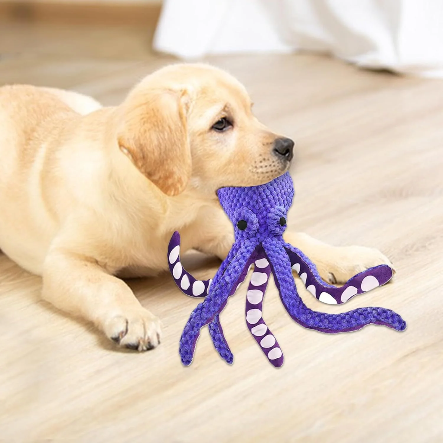 اسباب بازی سگ اختاپوس - اسباب بازی های سگ پر شده، بازی دندانی با صدای جیر جیر برای جویدن تهاجمی در فضای داخلی حیاط خلوت استخر ساحل سفر