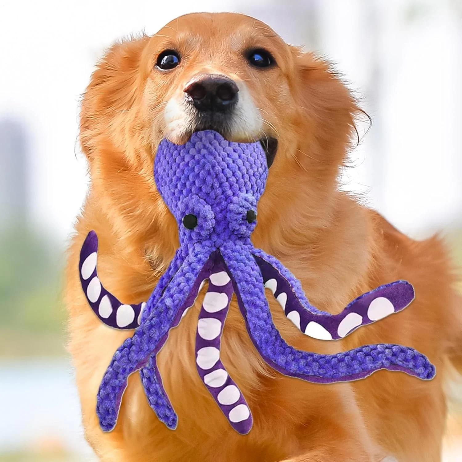 اسباب بازی پولیشی سگ برای جویدن تهاجمی - اسباب بازی های پولیشی برای سگ ها - اسباب بازی جویدنی تعاملی با صدای جیر جیر برای بازی، مسافرت، داخل خانه، ساحل، استخر و فضای باز