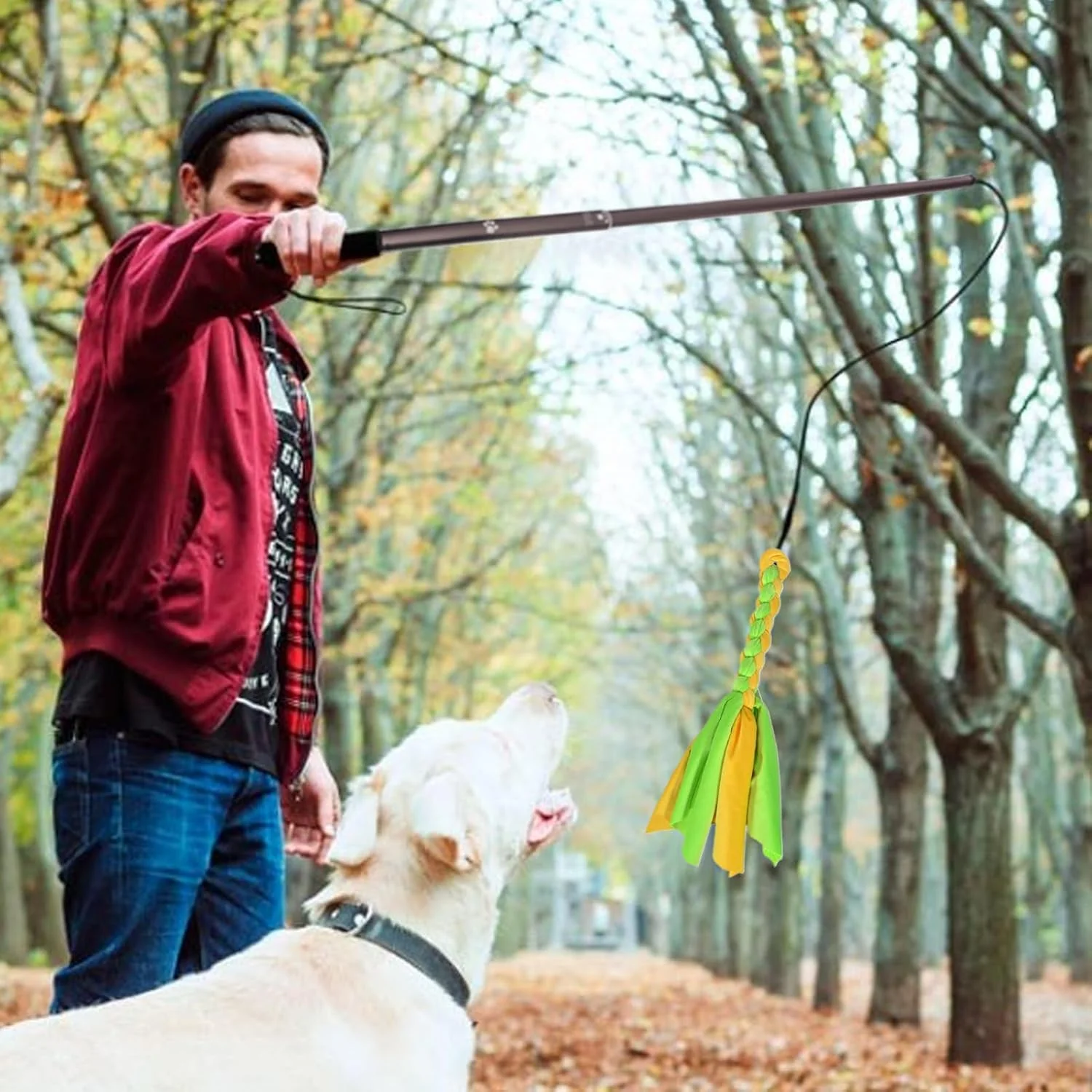 چوب بازی سگ - اسباب بازی های تعاملی برای تعقیب و کشیدن سگ | بازی غنی سازی توله سگ جمع شونده برای سرگرمی ورزشی در فضای باز آموزش اطاعت