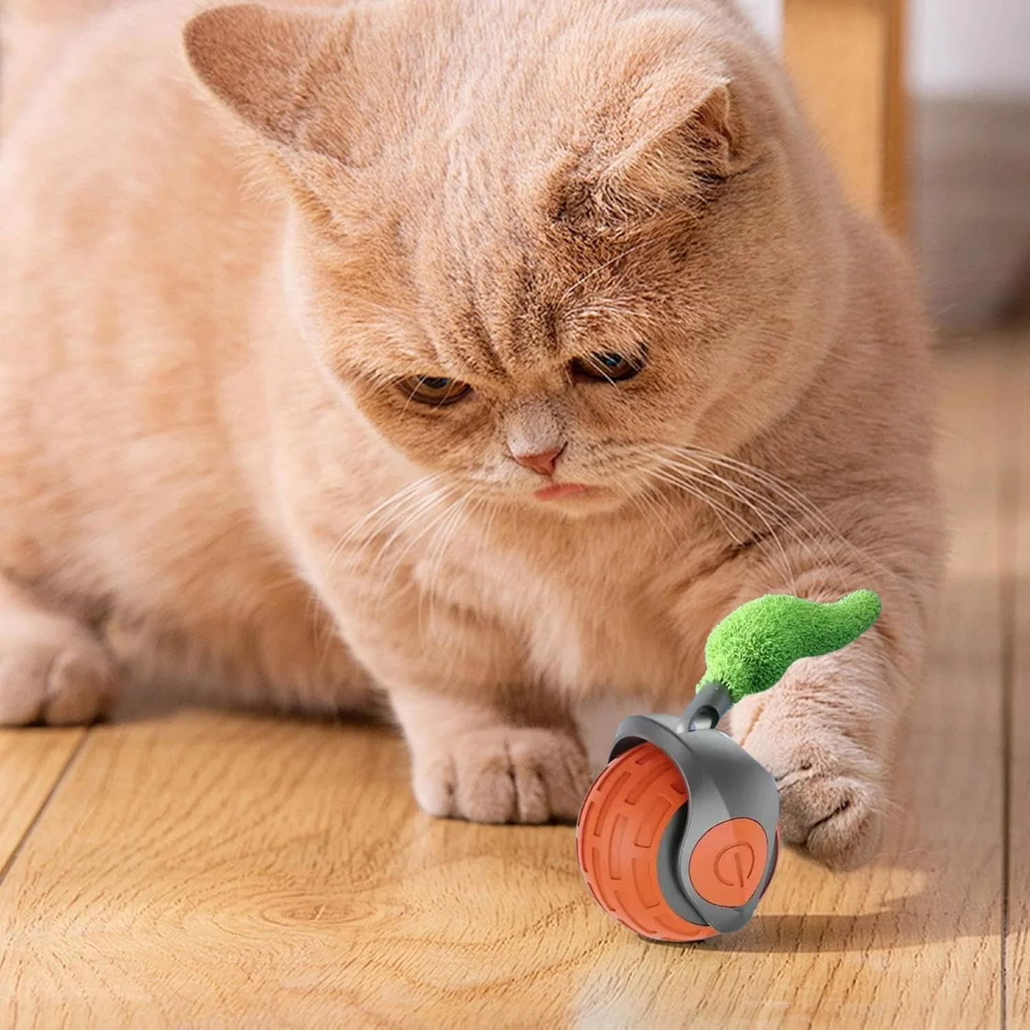 اسباب بازی تعاملی گربه، توپ غلتان اتوماتیک گربه با تنظیم 2 سرعته - لوازم بچه گربه برای آموزش غنی سازی، رفع خستگی، همراهی و سرگرمی