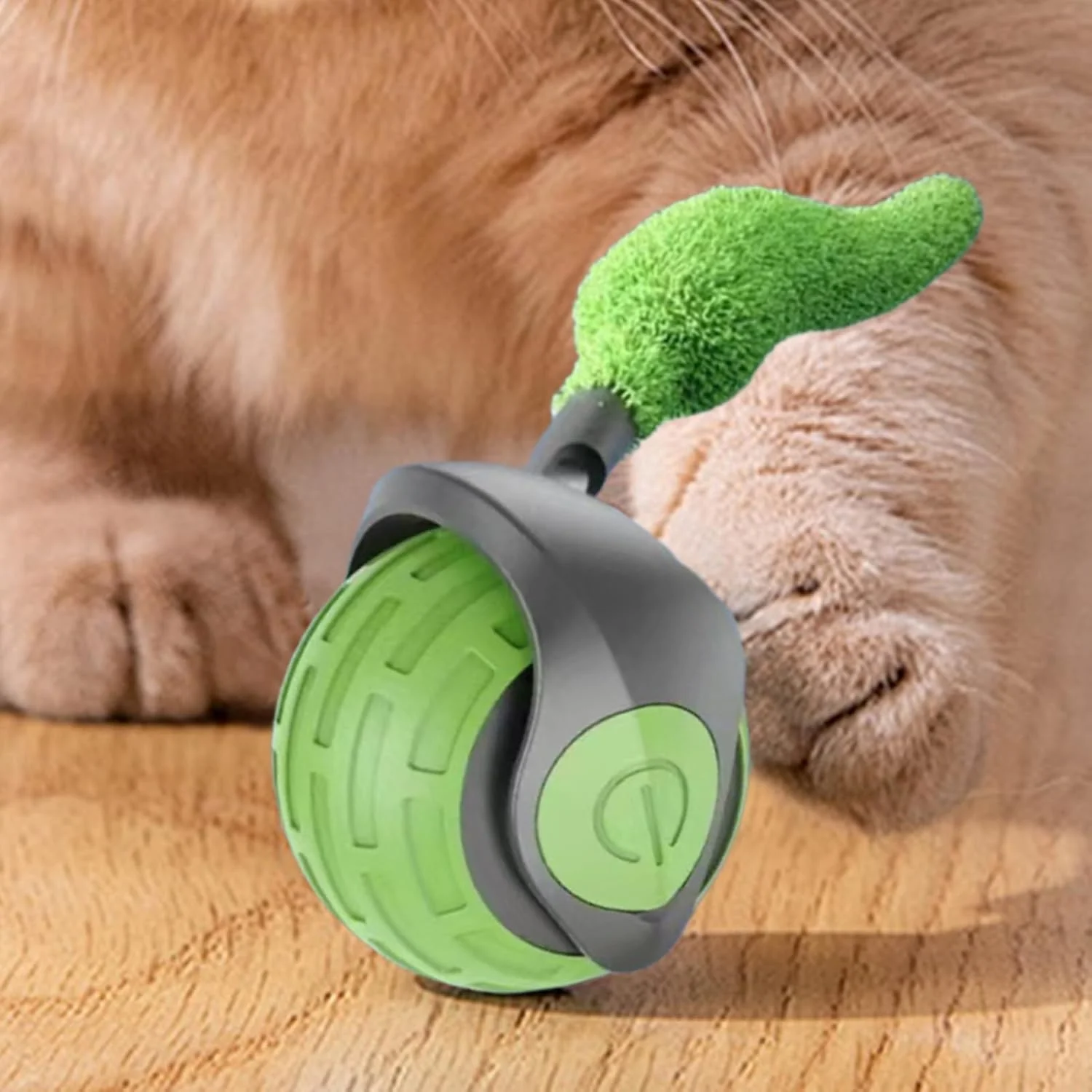 توپ غلتان اسباب بازی گربه با دم، توپ تعقیب و گریز غلتکی تعاملی گربه، لوازم تحریک کننده بچه گربه برای تمرین، سرگرمی، رفع خستگی و همراهی توپ غلتان اسباب بازی گربه با دم، توپ تعقیب و گریز غلتکی تعاملی گربه، لوازم تحریک کننده بچه گربه برای تمرین، سرگرمی، رفع خستگی و همراهی