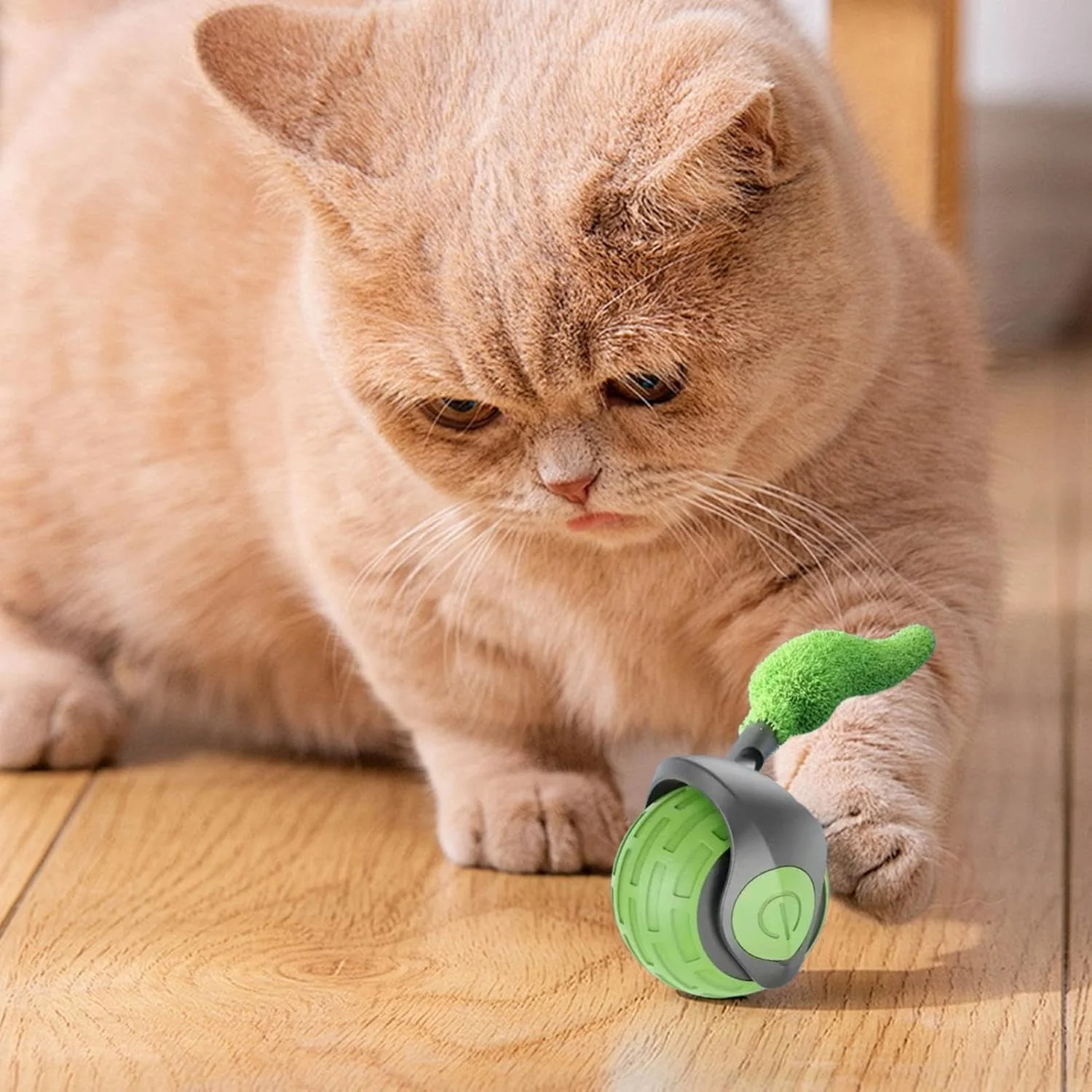 توپ بازی تعاملی گربه، توپ اسباب بازی هوشمند گربه با تنظیم 2 سرعت - لوازم تحریک کننده بچه گربه برای تمرین، سرگرمی، رفع بی حوصلگی و همراهی