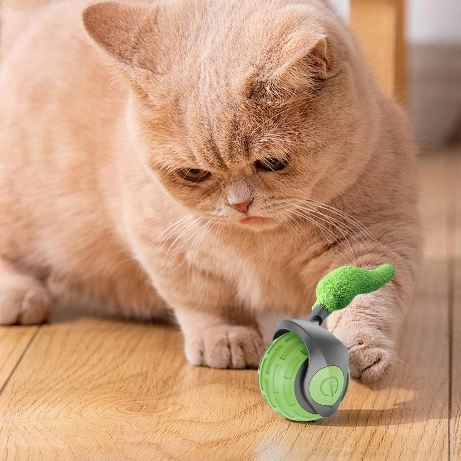 توپ بازی تعاملی گربه - توپ غلتکی تعاملی برای تعقیب گربه | لوازم غنی سازی حیوانات خانگی برای تمرین، همراهی و سرگرمی