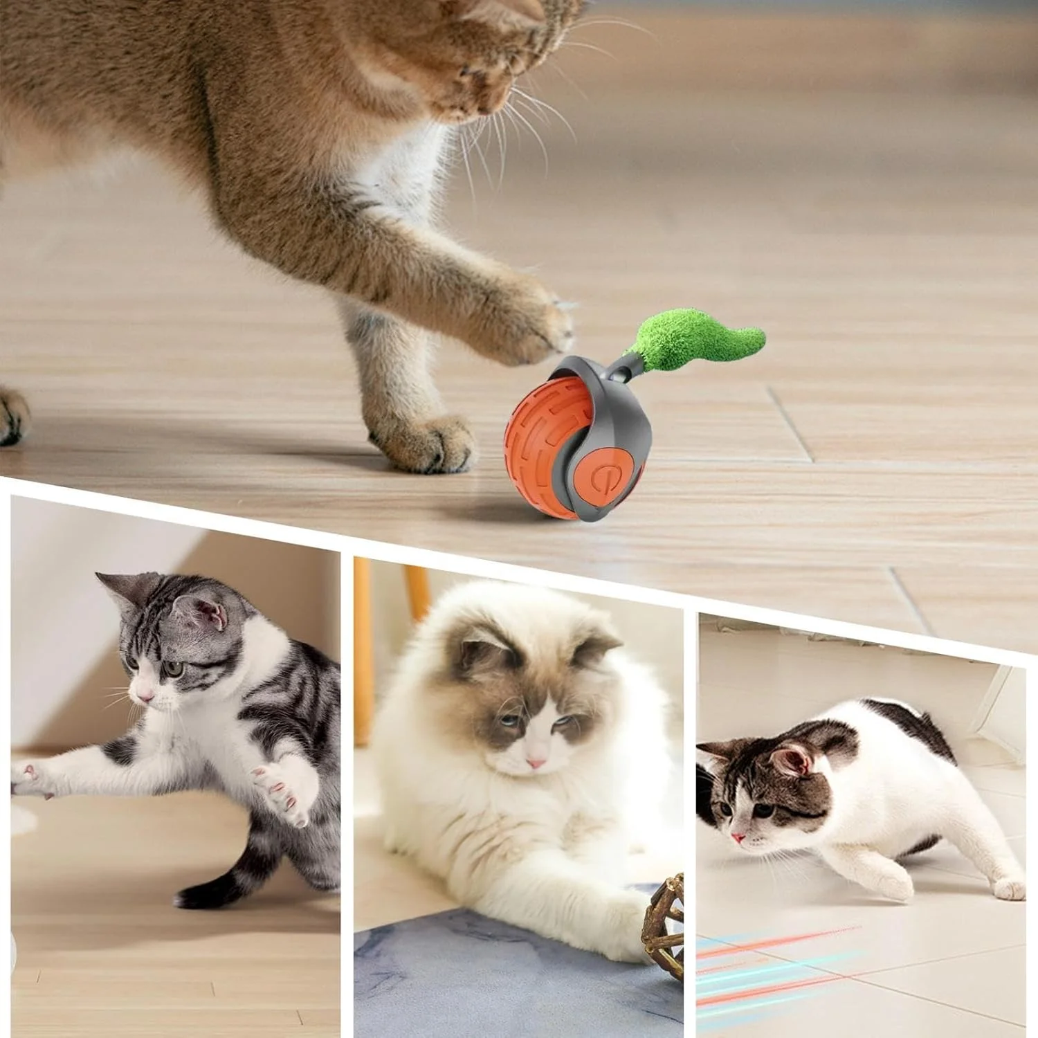 توپ بازی تعاملی گربه - توپ بازی متحرک خودکار گربه با دم - لوازم تحریک کننده ورزش برای بچه گربه های خانگی برای رفع خستگی، همراهی و سرگرمی توپ بازی تعاملی گربه - توپ بازی متحرک خودکار گربه با دم - لوازم تحریک کننده ورزش برای بچه گربه های خانگی برای رفع خستگی، همراهی و سرگرمی