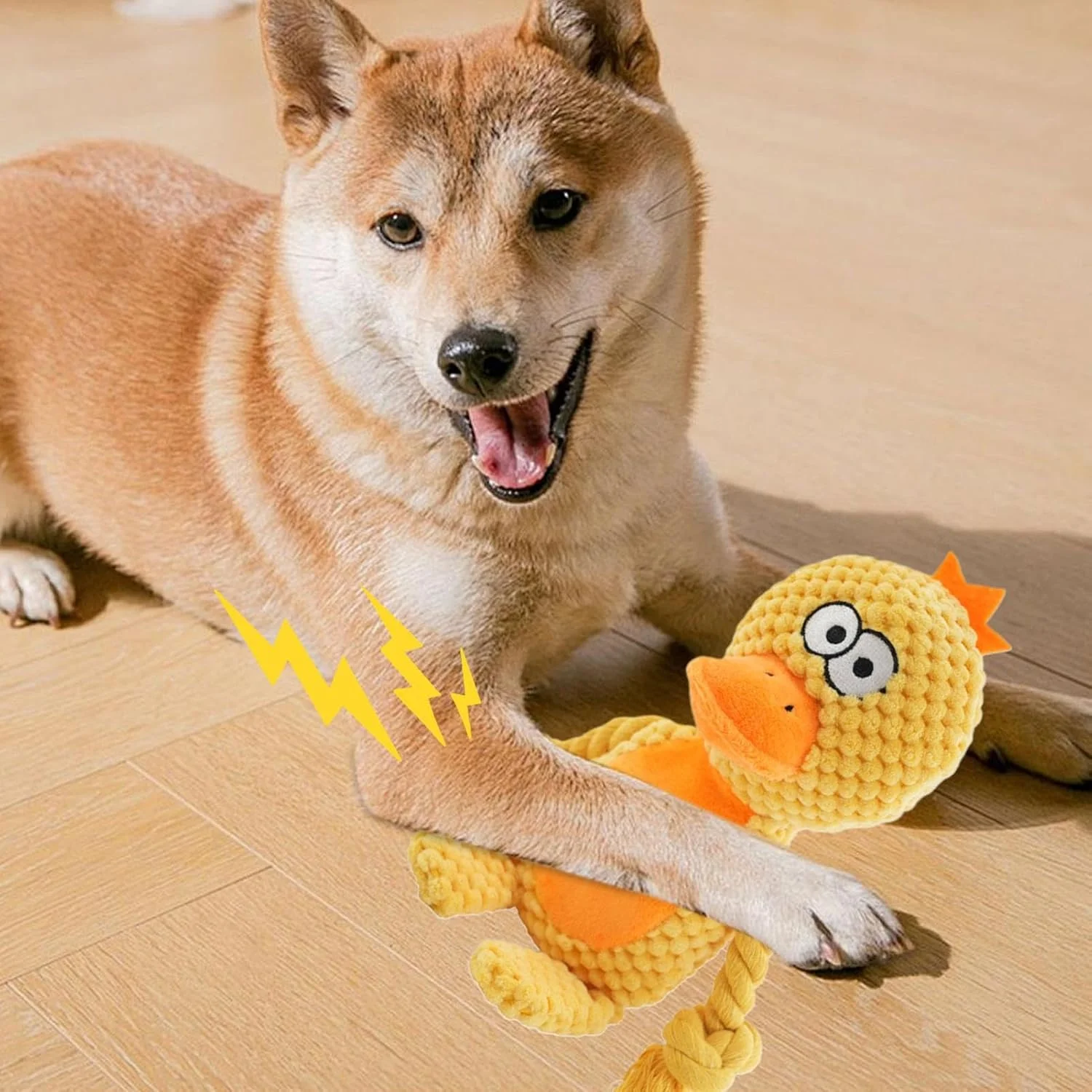 اسباب بازی های صدادار برای سگ های کوچک، اسباب بازی سگ حیوانات عروسکی | بازی ورزشی برای حیاط خلوت، پارک، کمپینگ، اوقات تنهایی و فعالیت های خارج از منزل اسباب بازی های صدادار برای سگ های کوچک، اسباب بازی سگ حیوانات عروسکی | بازی ورزشی برای حیاط خلوت، پارک، کمپینگ، اوقات تنهایی و فعالیت های خارج از منزل