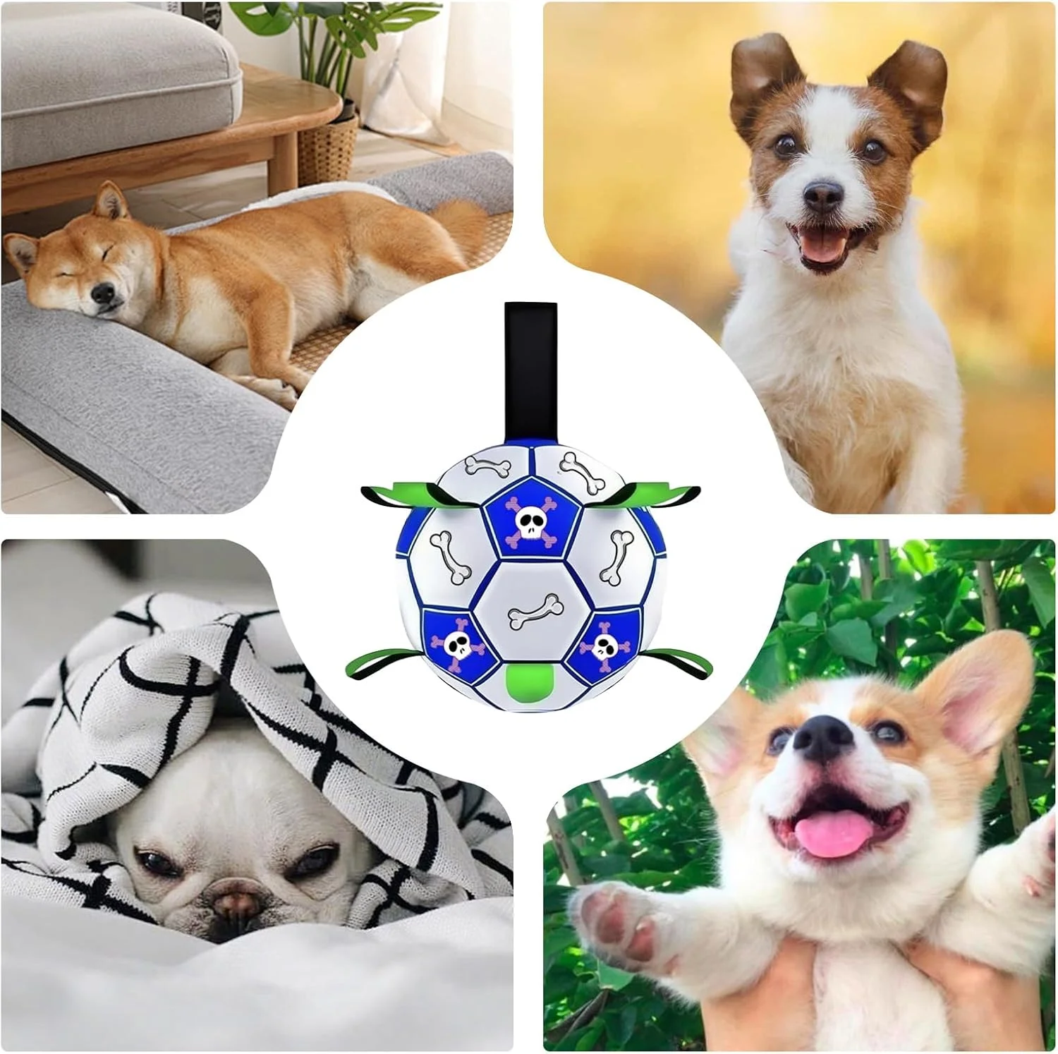 توپ فوتبال سگ، اسباب بازی آموزشی توپ فوتبال گله ای - چرم مصنوعی لوازم حیوانات قابل حمل برای چمن حیاط خلوت ساحل باغ نژادهای کوچک متوسط بزرگ توپ فوتبال سگ، اسباب بازی آموزشی توپ فوتبال گله ای - چرم مصنوعی لوازم حیوانات قابل حمل برای چمن حیاط خلوت ساحل باغ نژادهای کوچک متوسط بزرگ