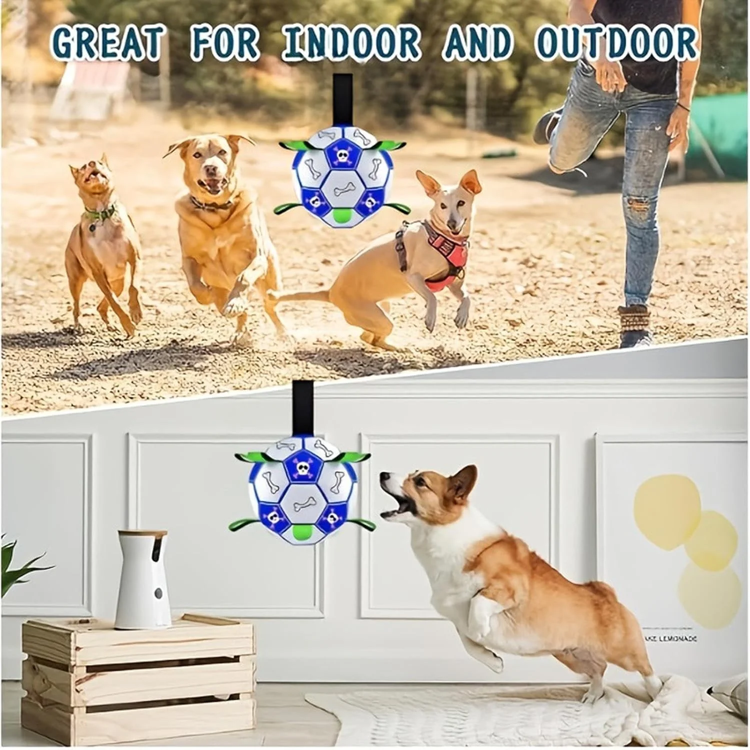 توپ فوتبال سگ، توپ فوتبال تعاملی سگ و توله سگ - لوازم بازی حیوانات همراه برای چمن، باغ، حیاط خلوت، پارک، نژادهای کوچک، متوسط و بزرگ توپ فوتبال سگ، توپ فوتبال تعاملی سگ و توله سگ - لوازم بازی حیوانات همراه برای چمن، باغ، حیاط خلوت، پارک، نژادهای کوچک، متوسط و بزرگ