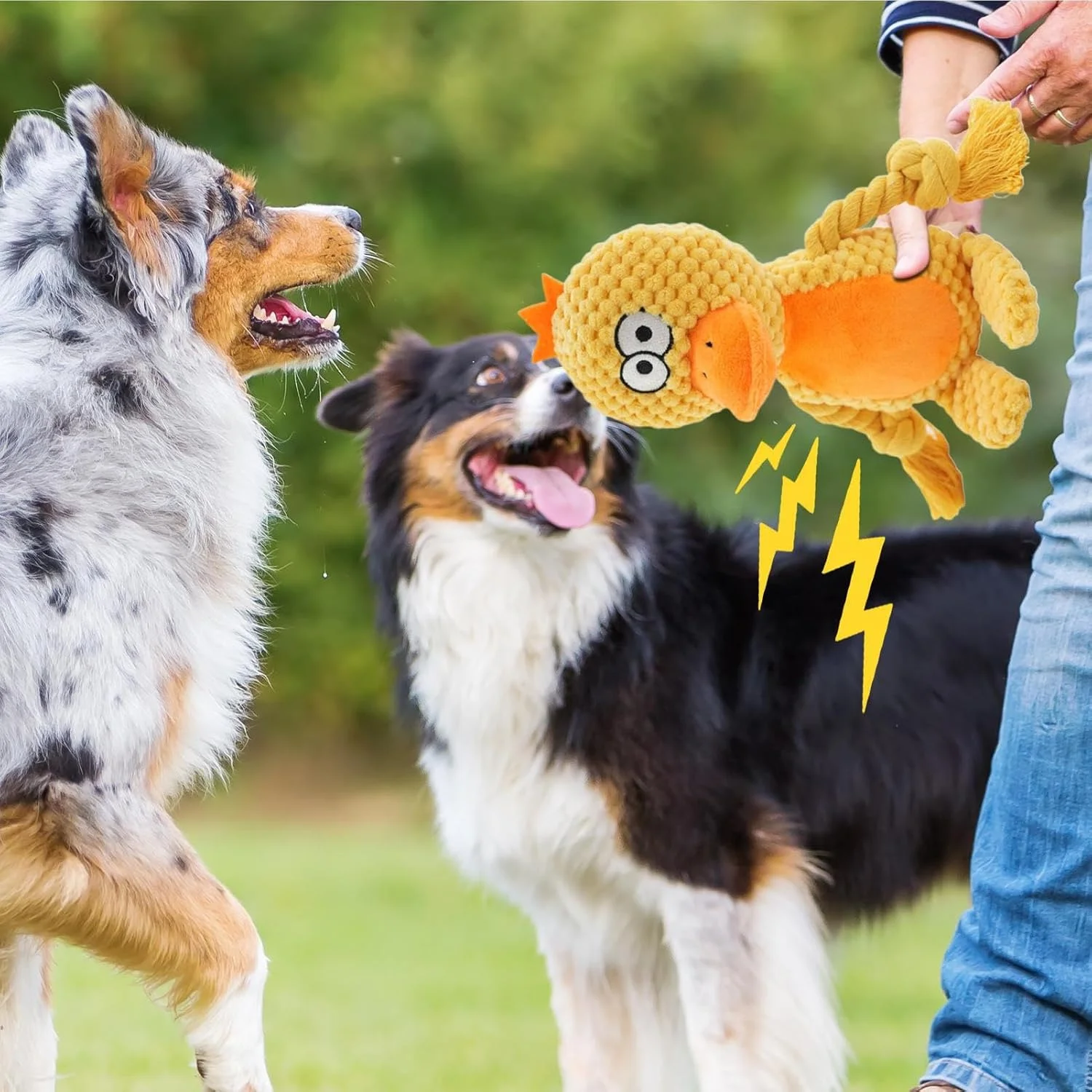 اسباب بازی سگ با صدای جیر جیر | اسباب بازی جویدنی سگ های پولیشی - فعالیت های ورزشی برای آموزش فچ، اوقات تنهایی، پارک، حیاط خلوت، کمپینگ در فضای باز اسباب بازی سگ با صدای جیر جیر | اسباب بازی جویدنی سگ های پولیشی - فعالیت های ورزشی برای آموزش فچ، اوقات تنهایی، پارک، حیاط خلوت، کمپینگ در فضای باز