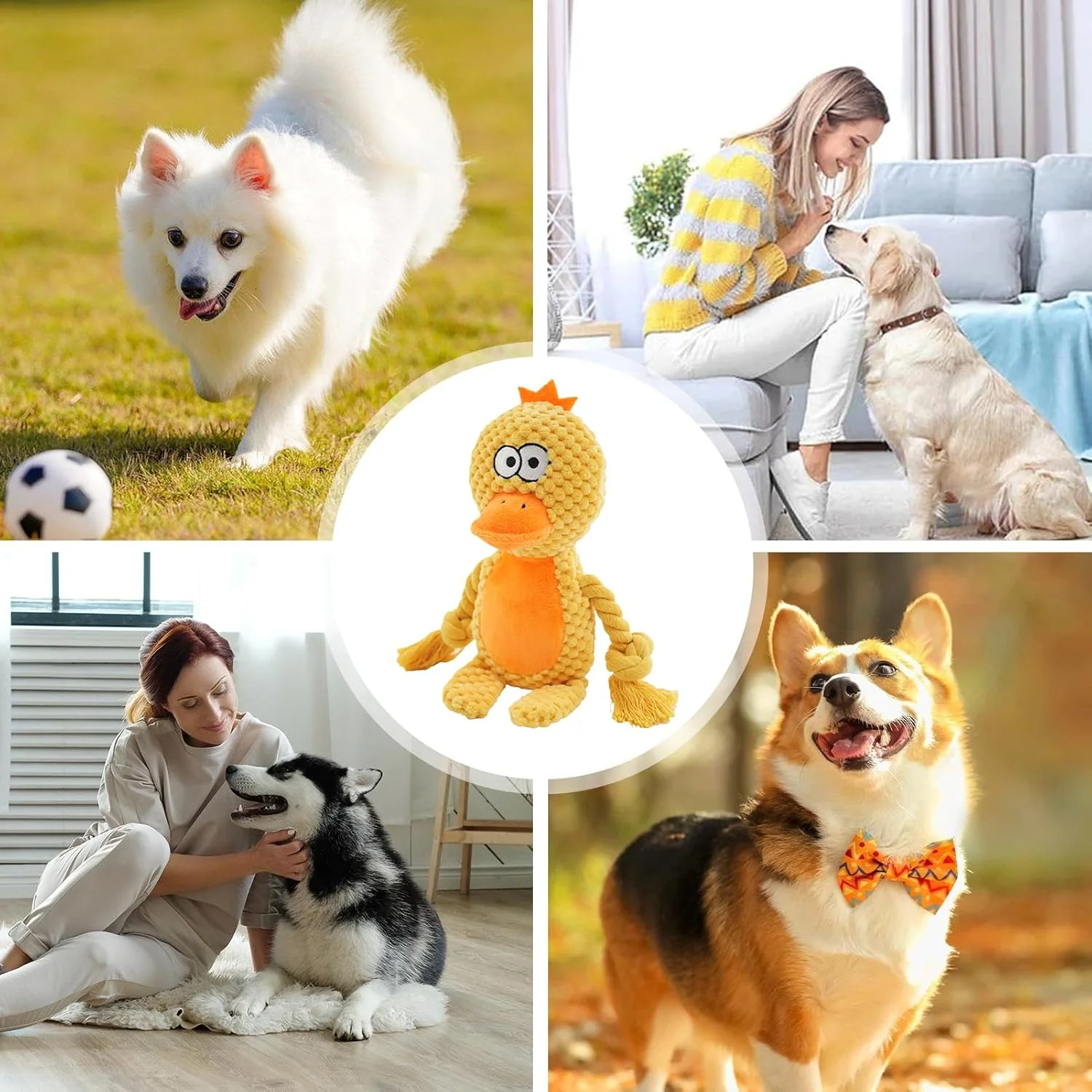 اسباب بازی سگ با صدای جیر جیر، اسباب بازی های جویدنی توله سگ - بازی های ورزشی فعالیت های تعاملی برای آموزش فچ، کمپینگ در فضای باز و پارک، زمان تنهایی اسباب بازی سگ با صدای جیر جیر، اسباب بازی های جویدنی توله سگ - بازی های ورزشی فعالیت های تعاملی برای آموزش فچ، کمپینگ در فضای باز و پارک، زمان تنهایی