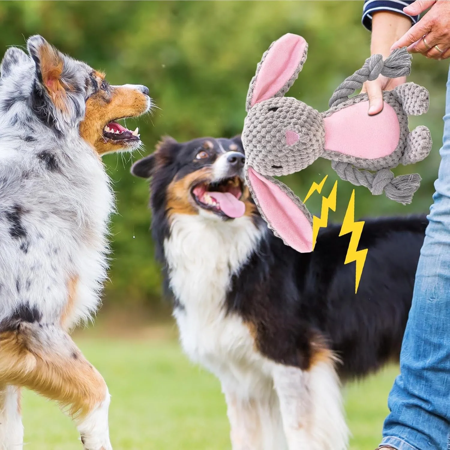 اسباب بازی های جیرجیر کننده برای سگ ها، اسباب بازی های جویدنی پولیشی، بازی ورزشی برای کمپینگ در پارک حیاط خلوت و فعالیت های انفرادی در فضای باز اسباب بازی های جیرجیر کننده برای سگ ها، اسباب بازی های جویدنی پولیشی، بازی ورزشی برای کمپینگ در پارک حیاط خلوت و فعالیت های انفرادی در فضای باز