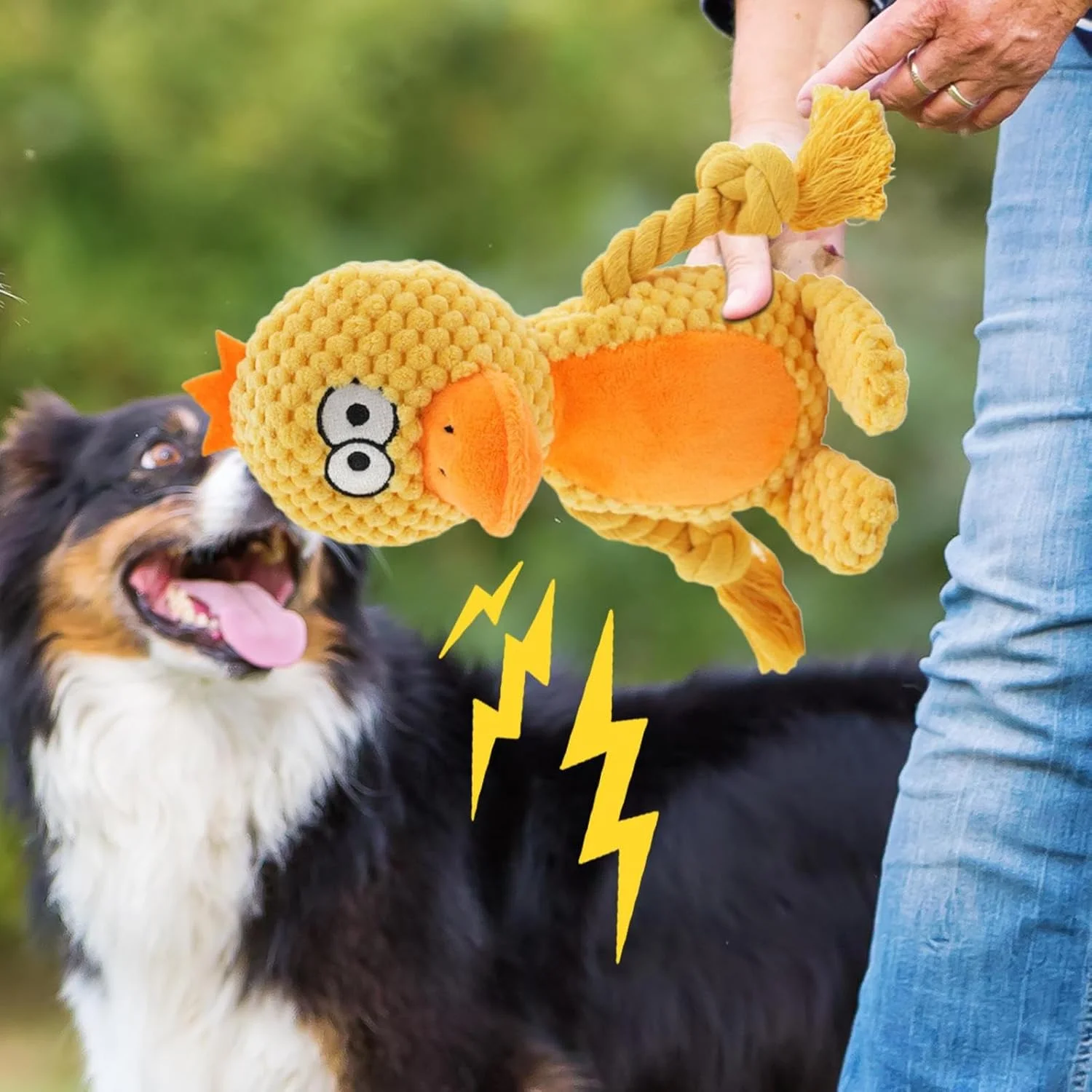 اسباب بازی سگ با صدای جیر جیر | اسباب بازی جویدنی سگ مخمل دار | بازی ورزشی برای حیاط خلوت، پارک، کمپینگ، اوقات تنهایی و فعالیت های خارج از منزل اسباب بازی سگ با صدای جیر جیر | اسباب بازی جویدنی سگ مخمل دار | بازی ورزشی برای حیاط خلوت، پارک، کمپینگ، اوقات تنهایی و فعالیت های خارج از منزل